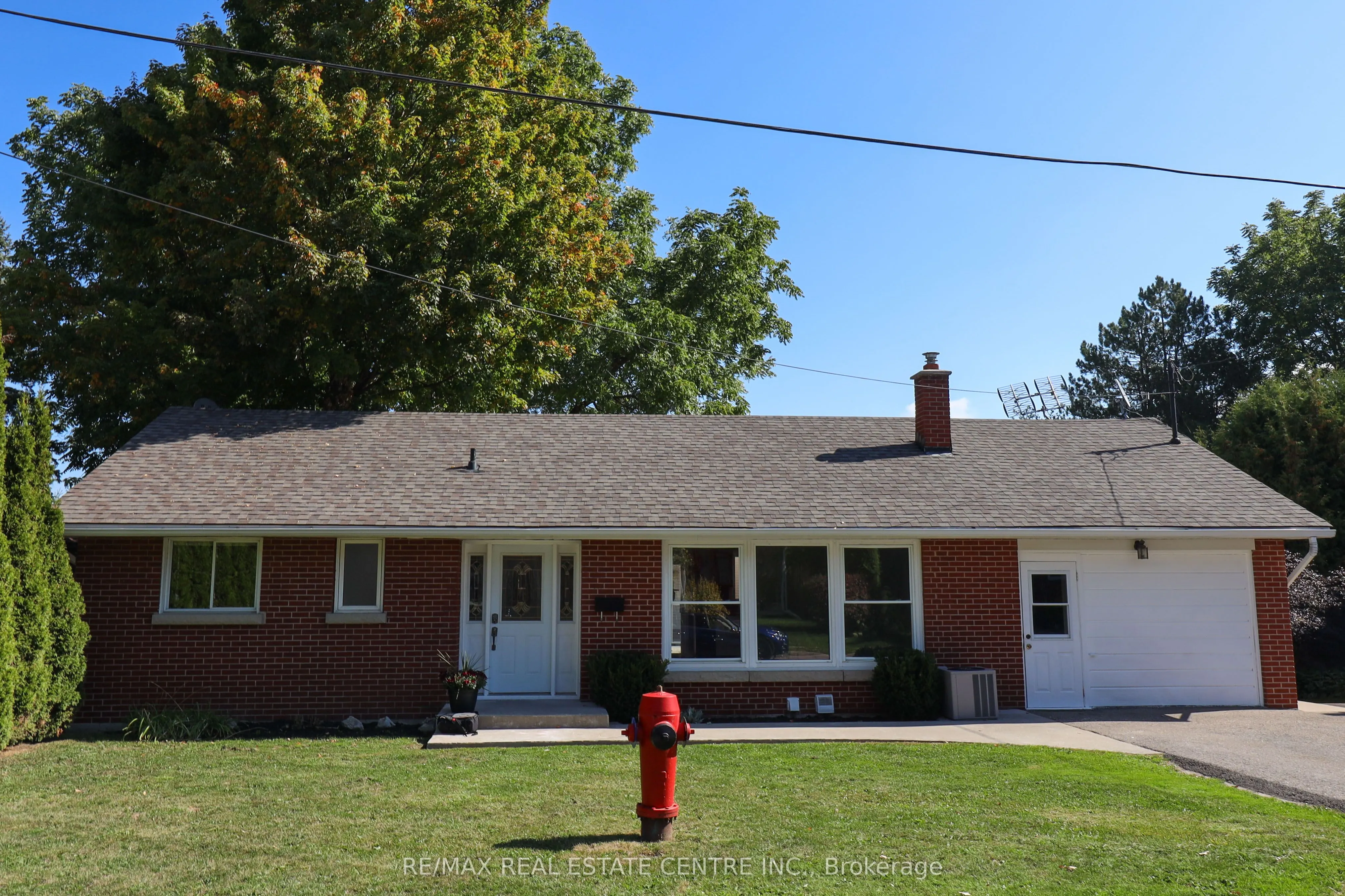 17B Amanda Street