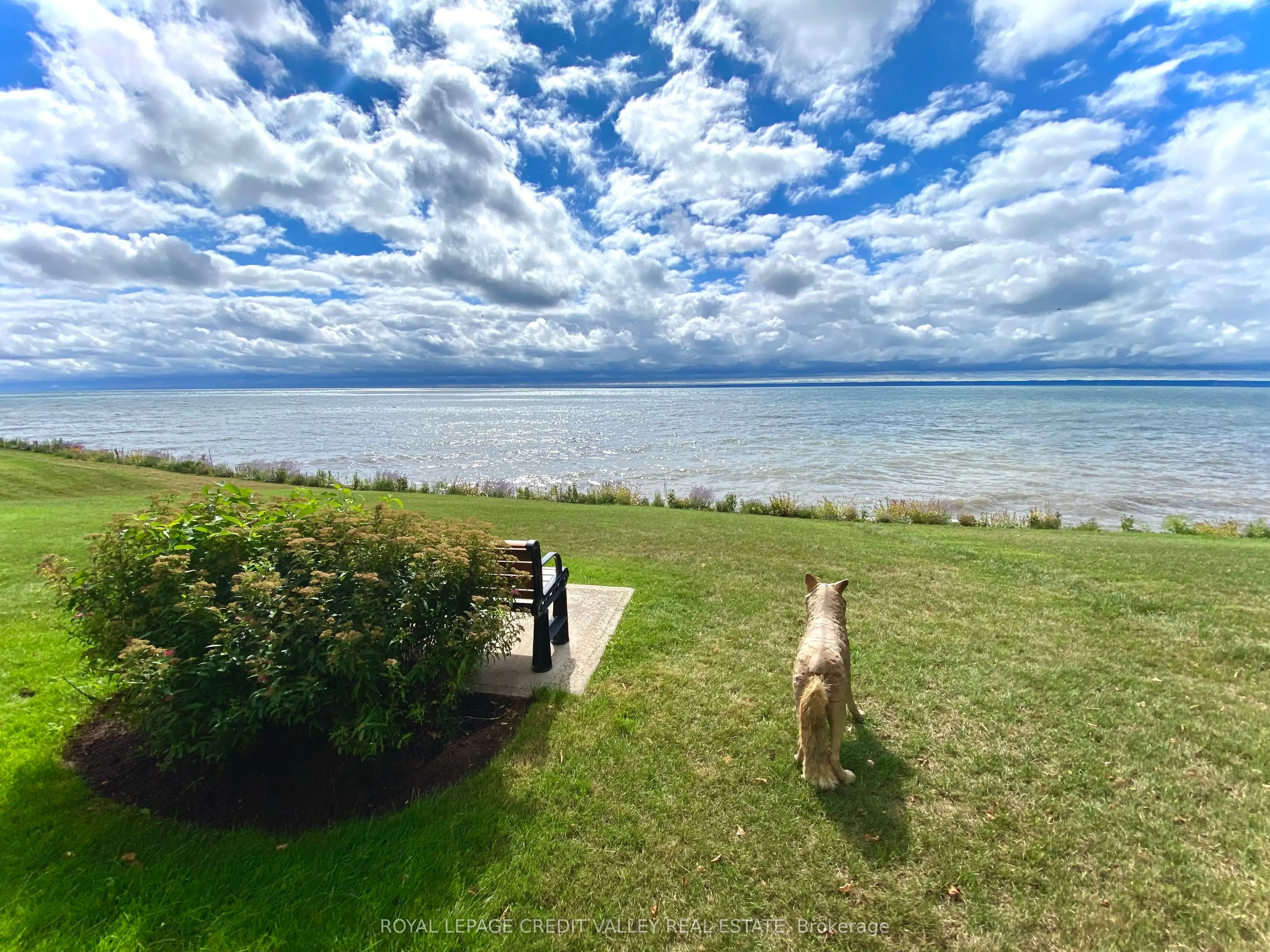 5280 Lakeshore Road, #911
