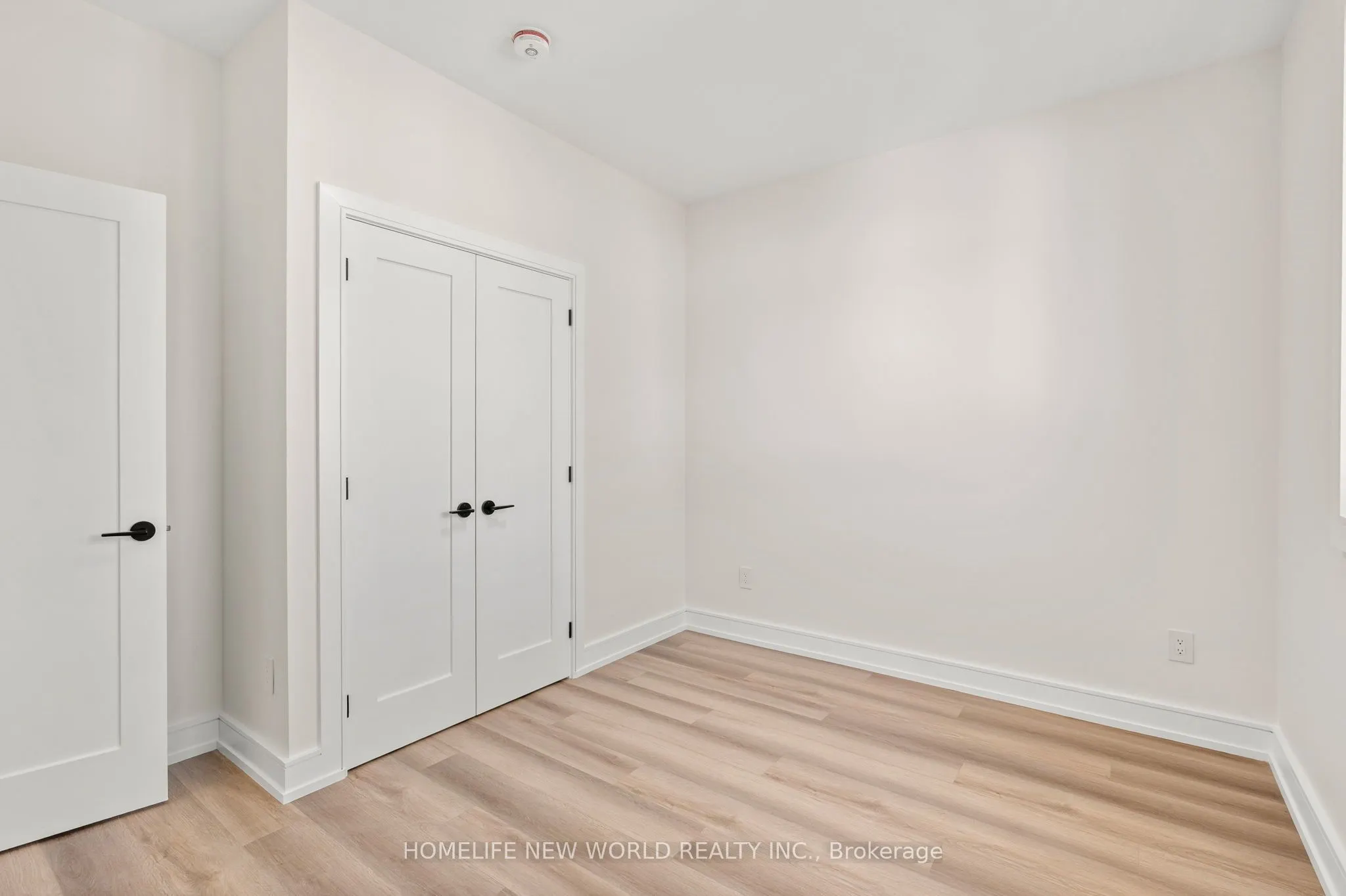 Laneway - 43 Batavia Avenue, #Lease