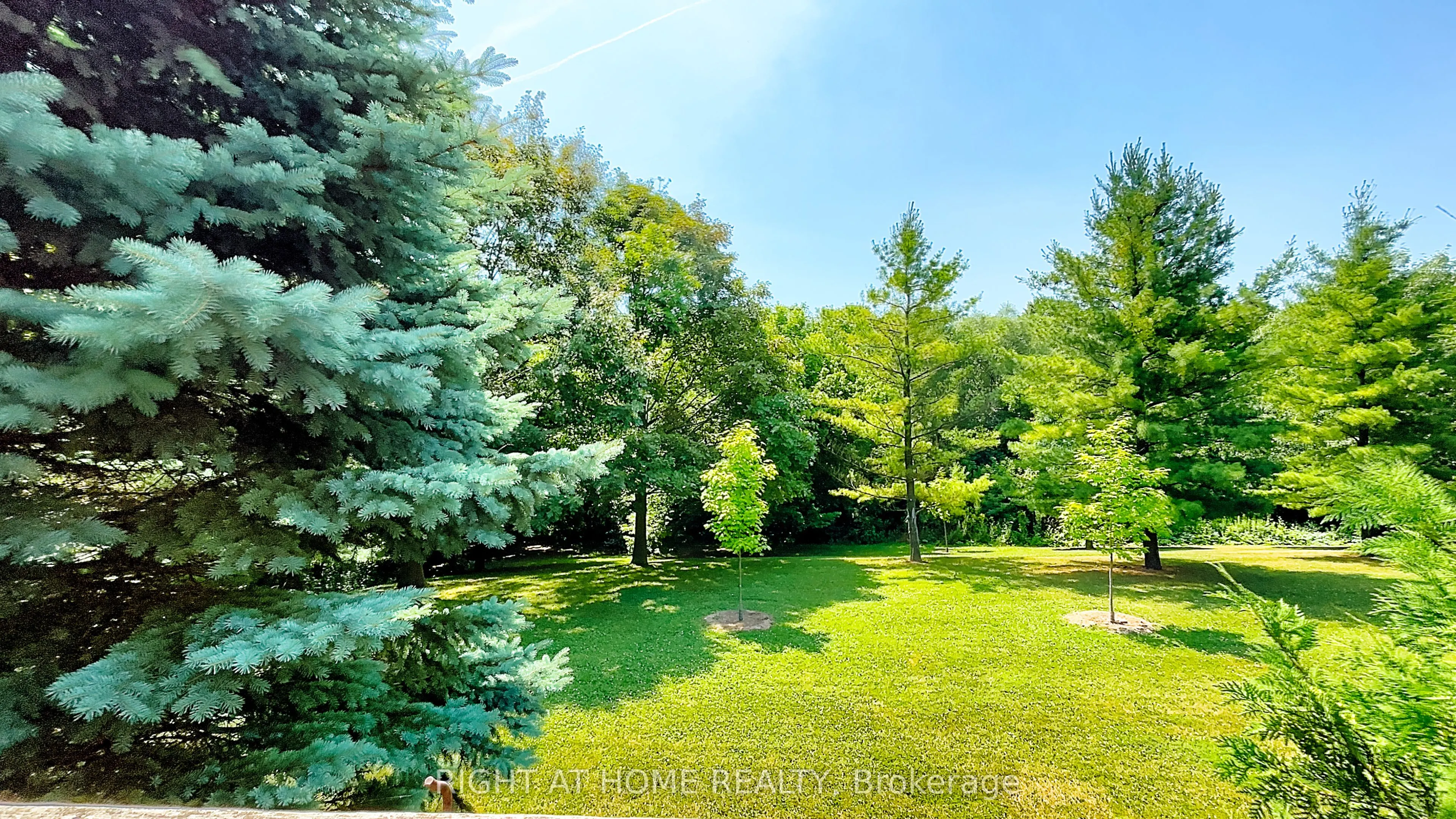 50 Tamarack Circle, #50