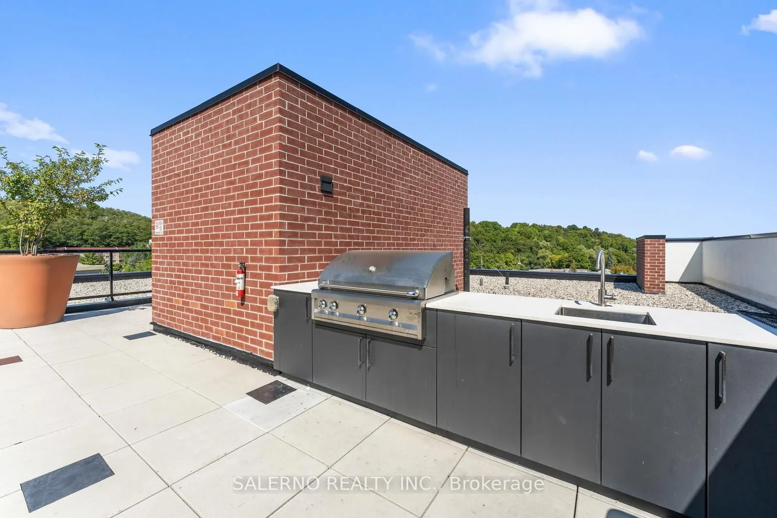 50 Ann Street, #311