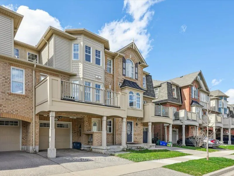 17 Suitor Court