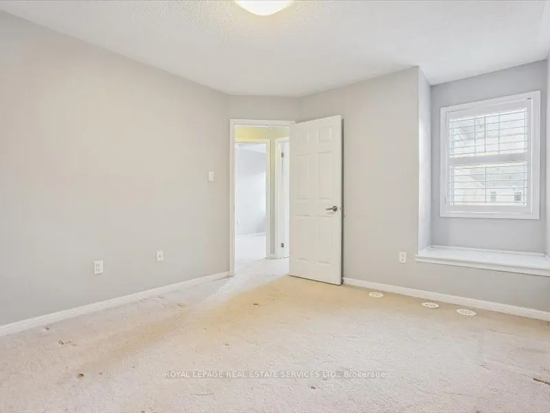 17 Suitor Court
