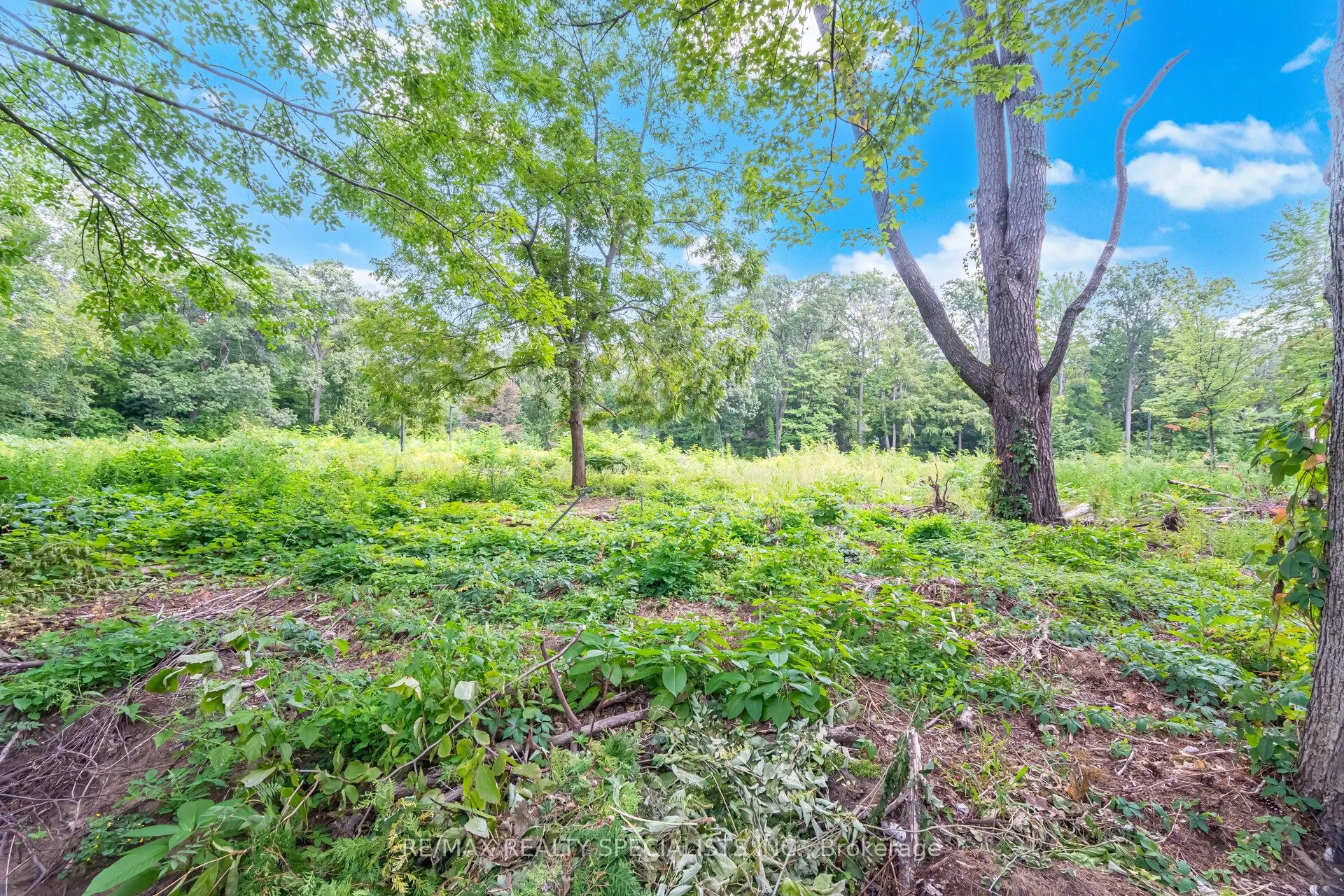 168 Breezy Pines Drive