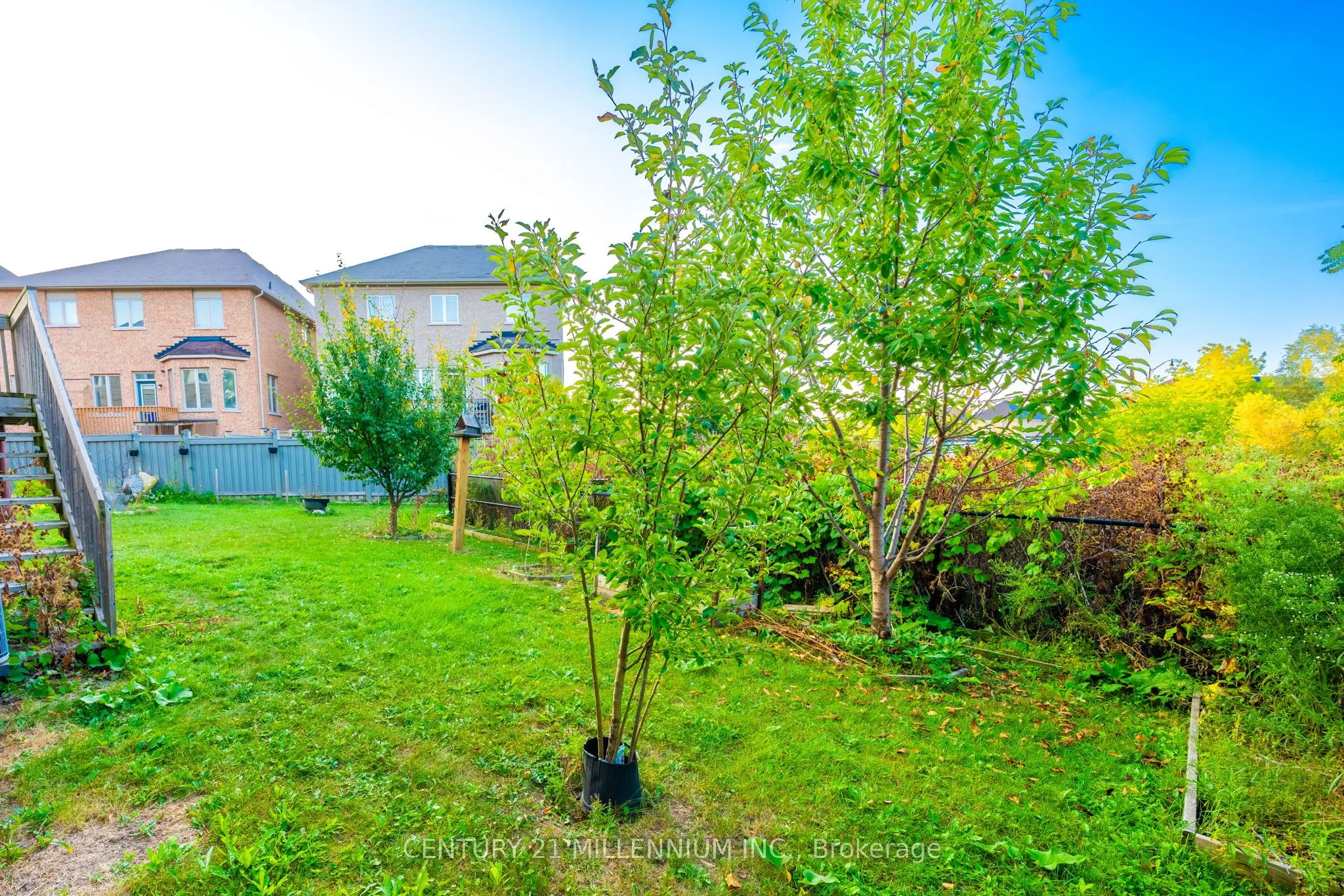 6 Ashfield Place S