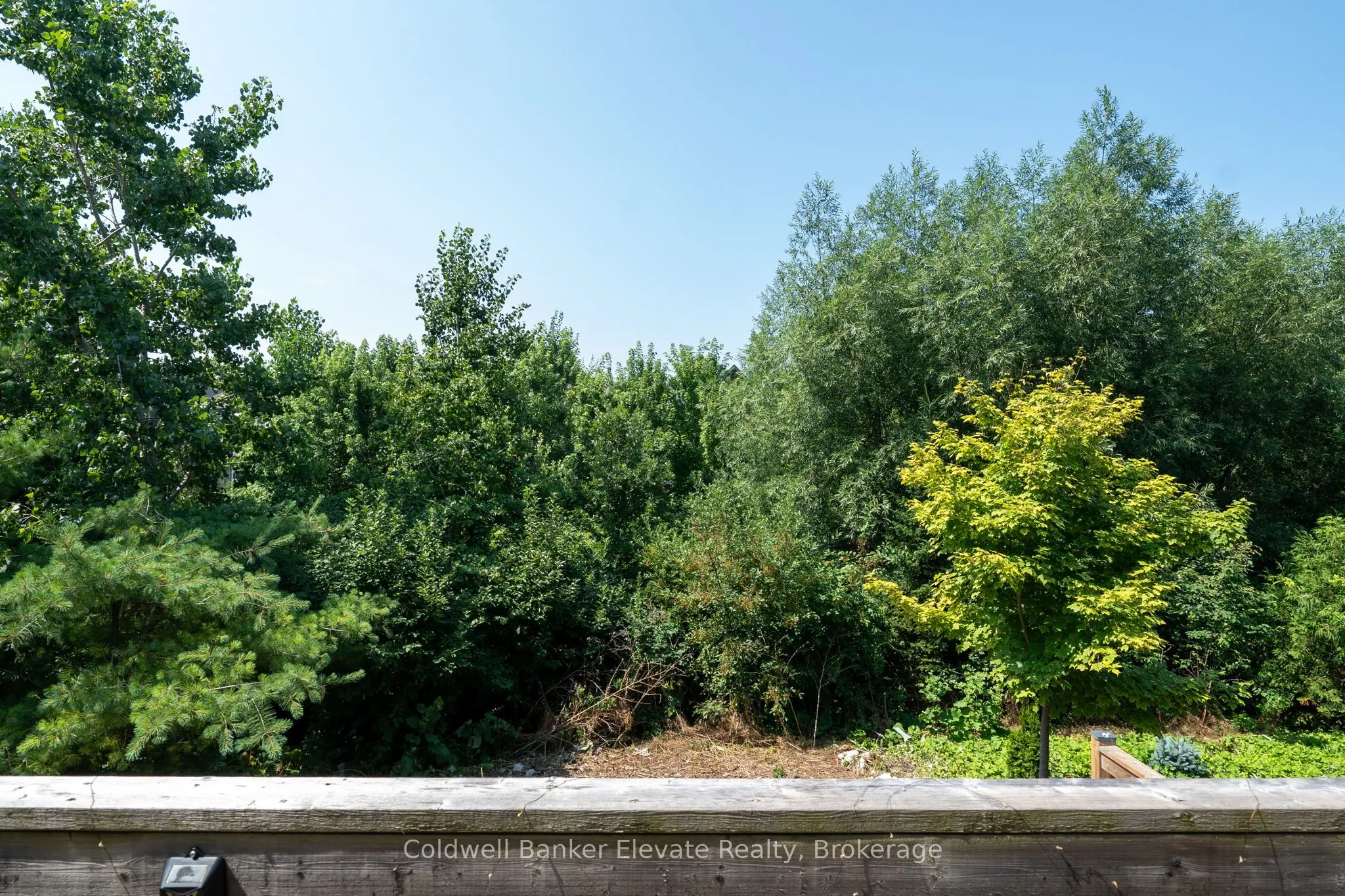 360 Ellen Davidson Drive