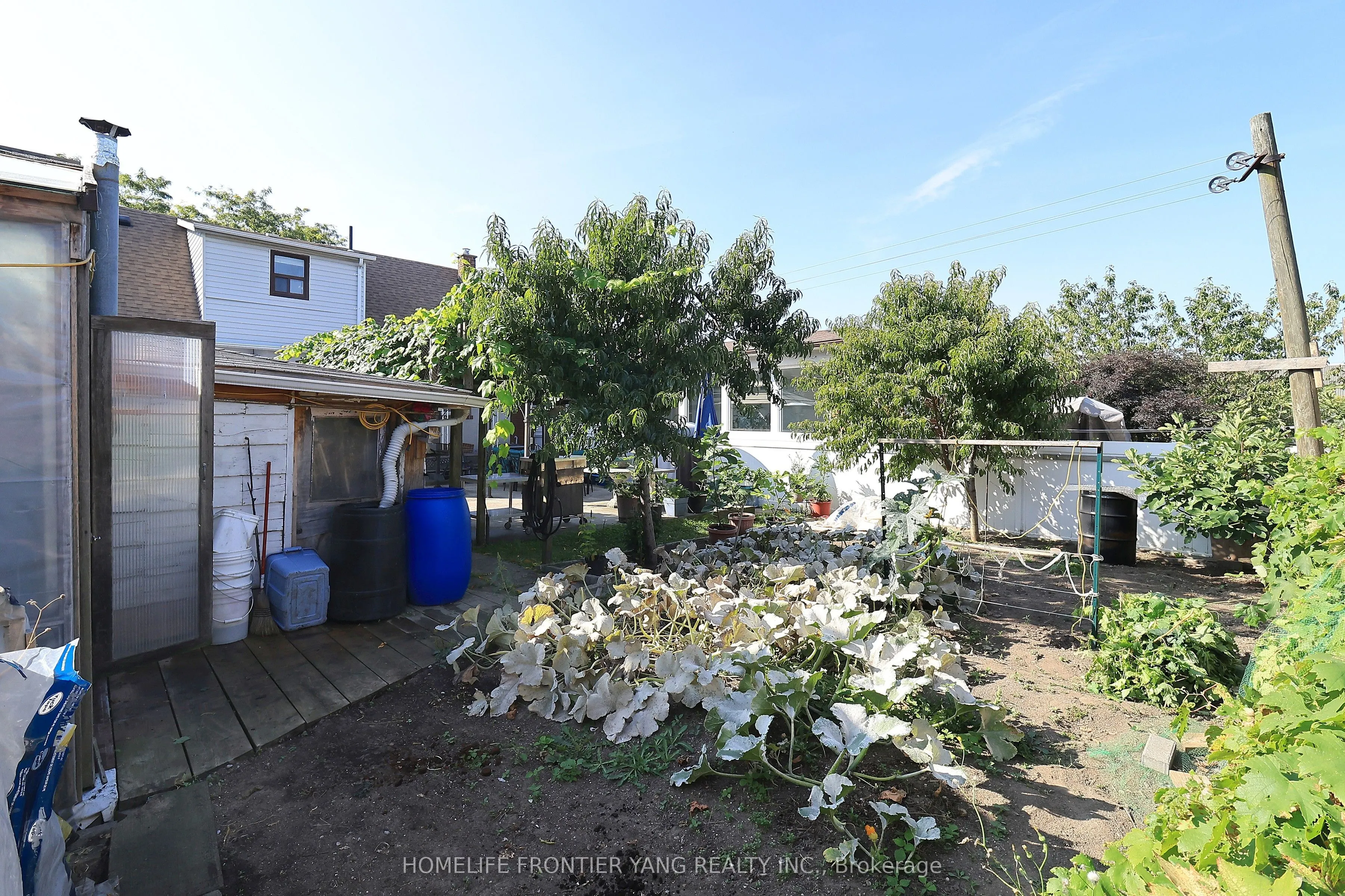 66 Cartwright Avenue