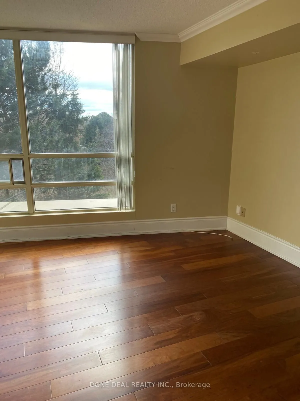 50 Eglinton Avenue W, #207