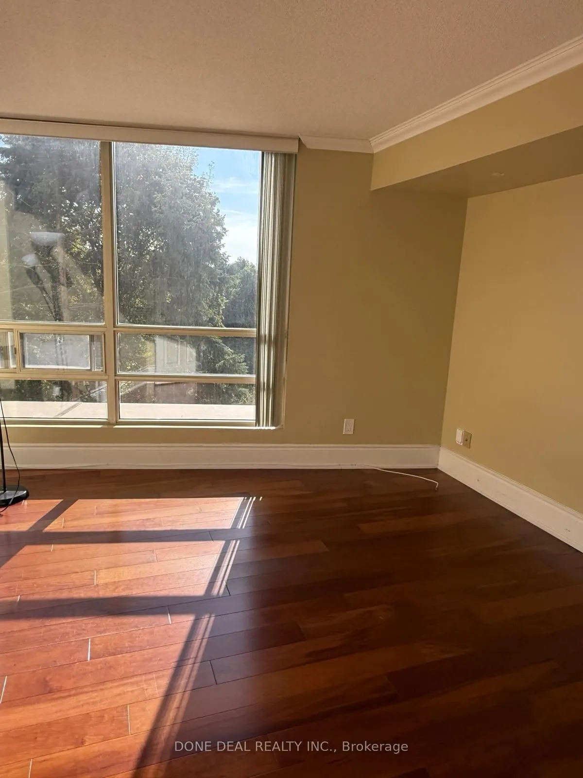 50 Eglinton Avenue W, #207