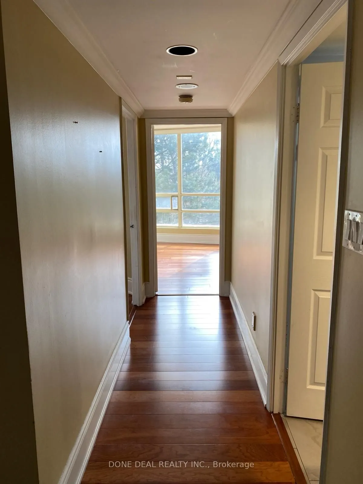 50 Eglinton Avenue W, #207