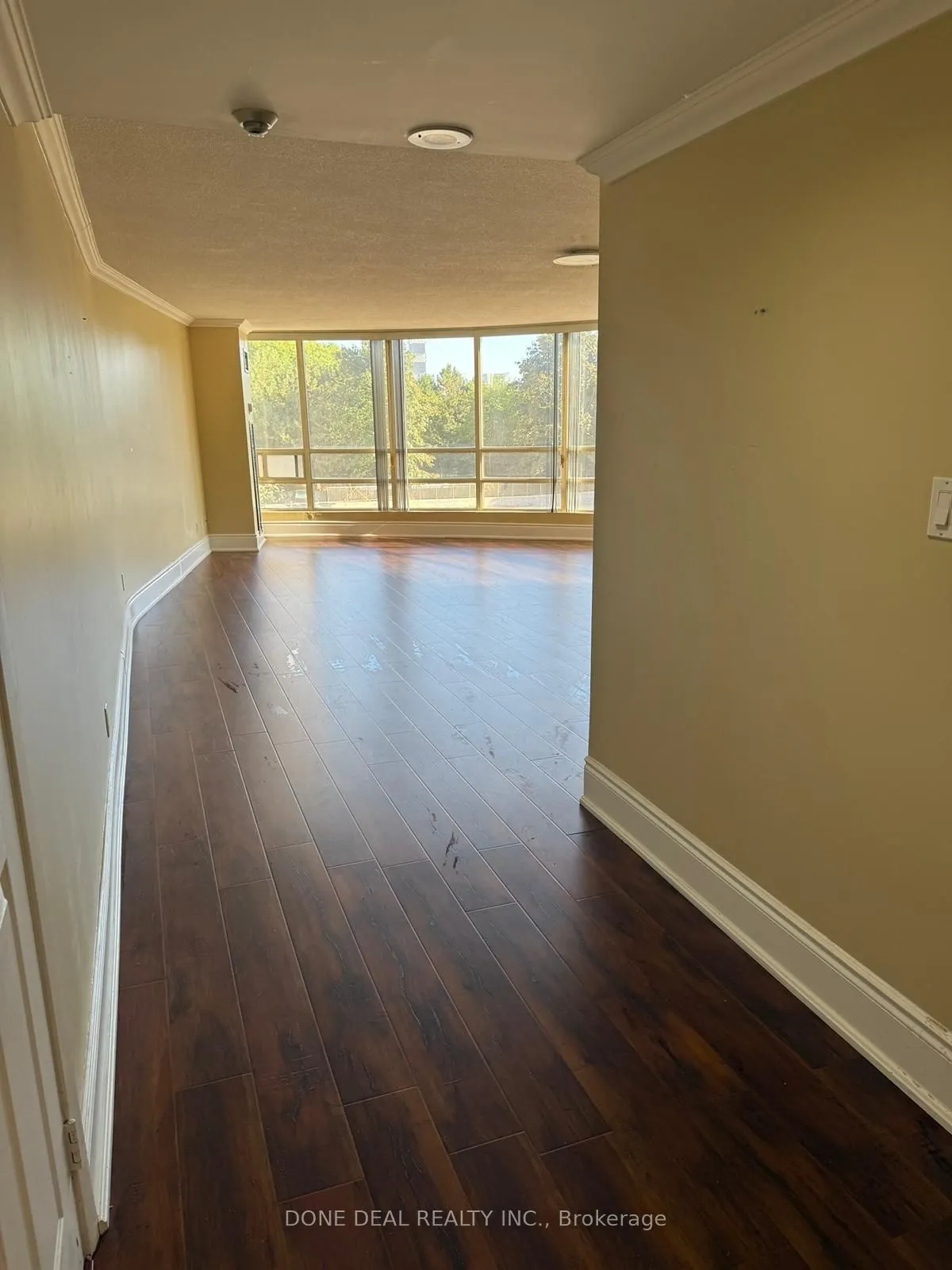 50 Eglinton Avenue W, #207