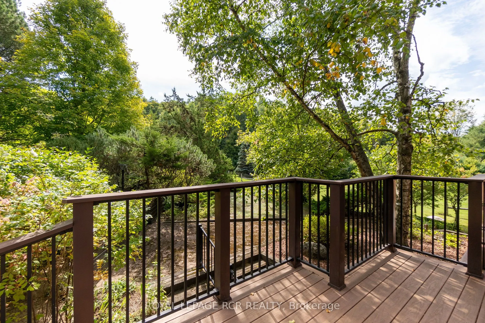 8225 Finnerty Side Road