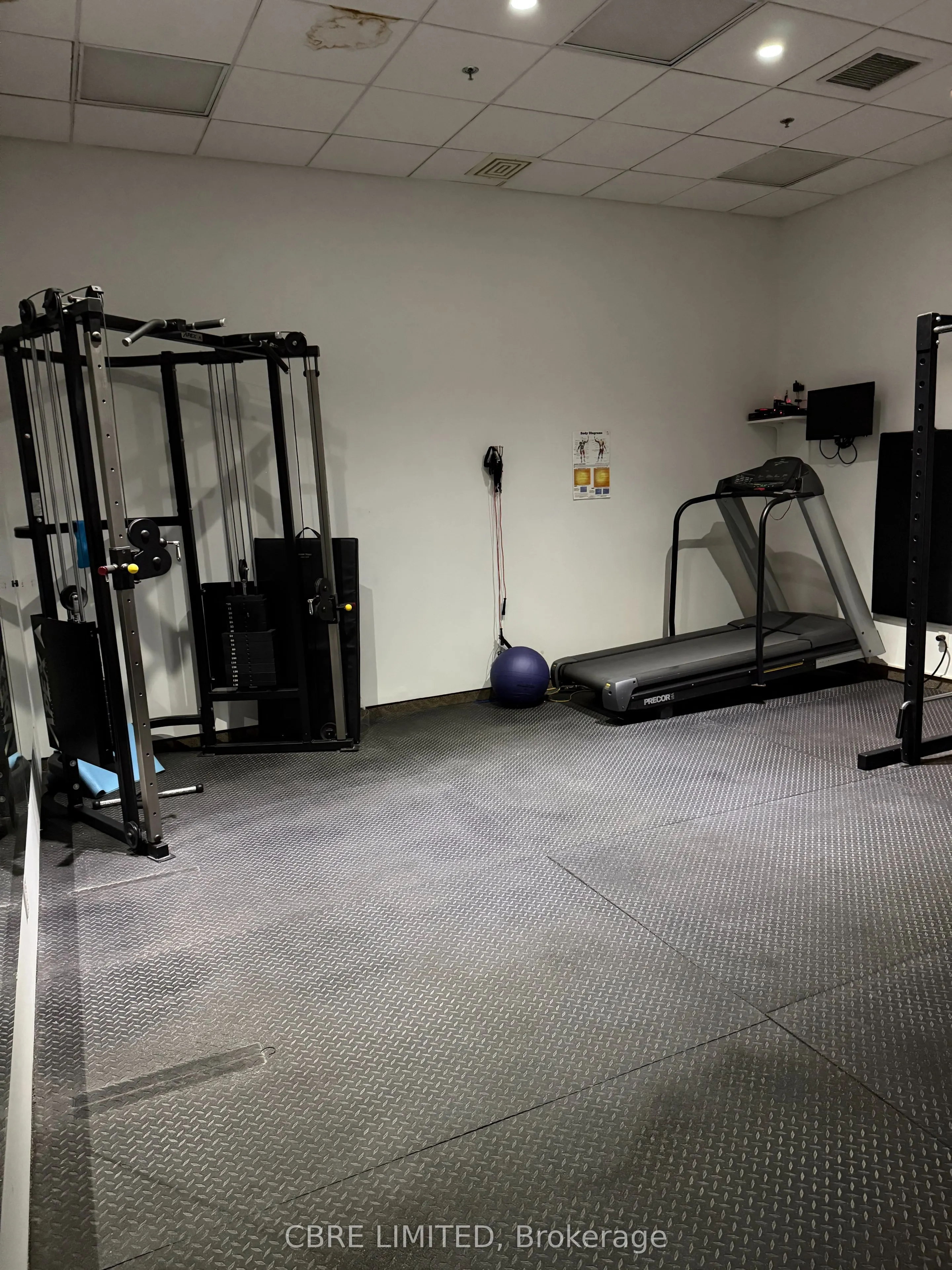 100 Wingold Avenue, #Unit 1