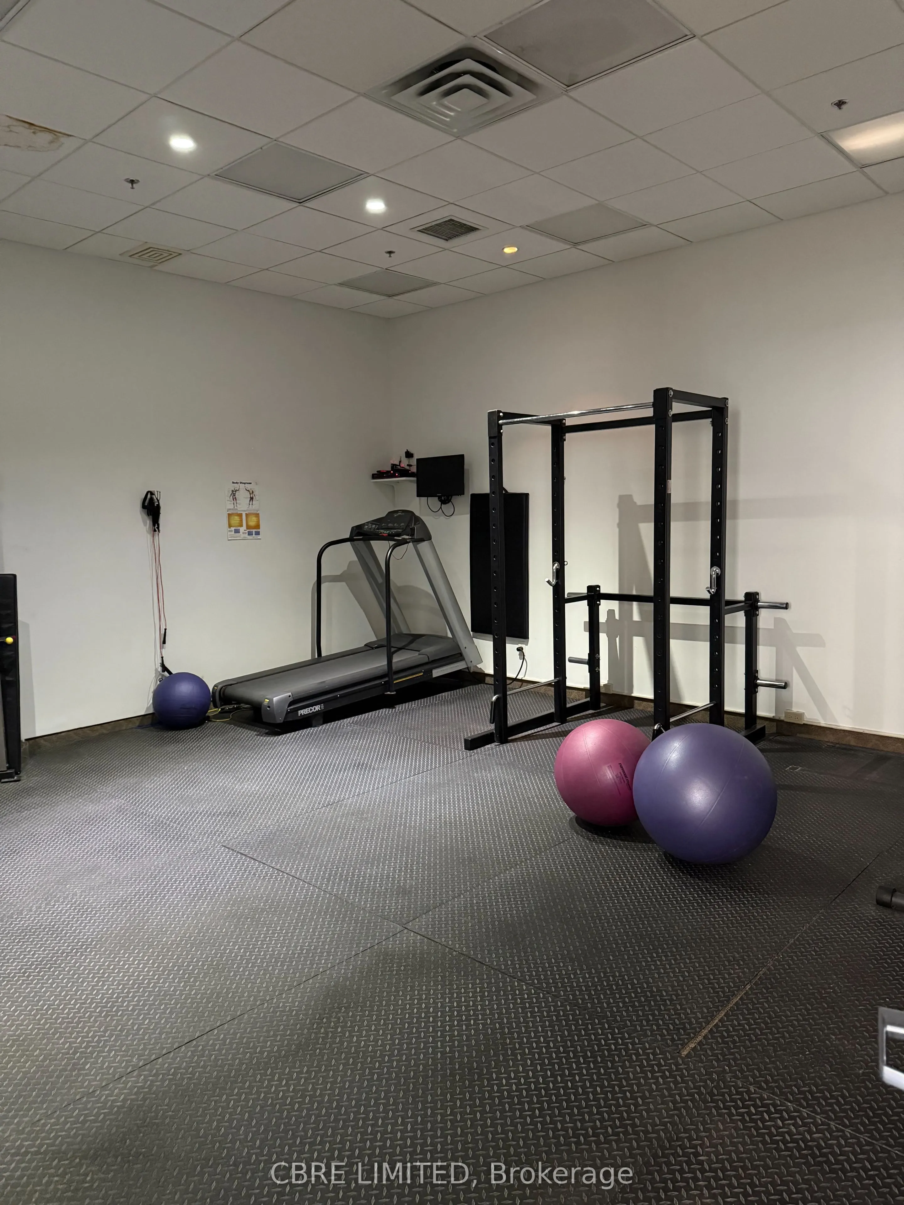 100 Wingold Avenue, #Unit 1