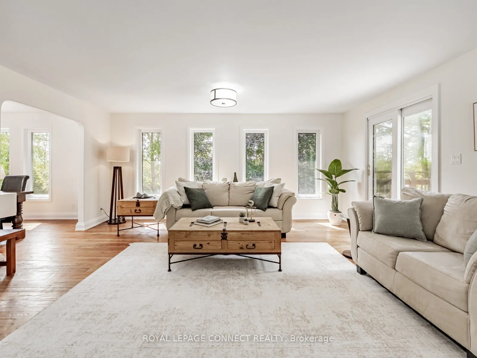11215 Amos Drive