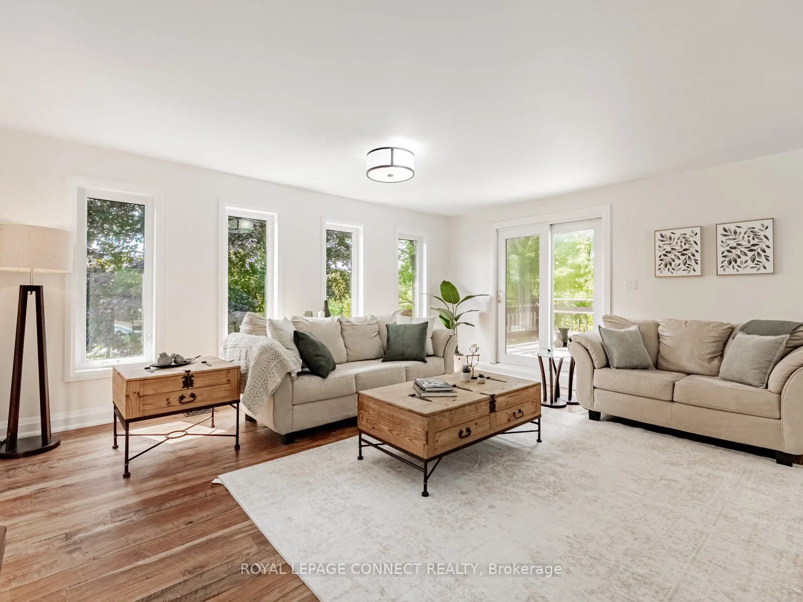 11215 Amos Drive