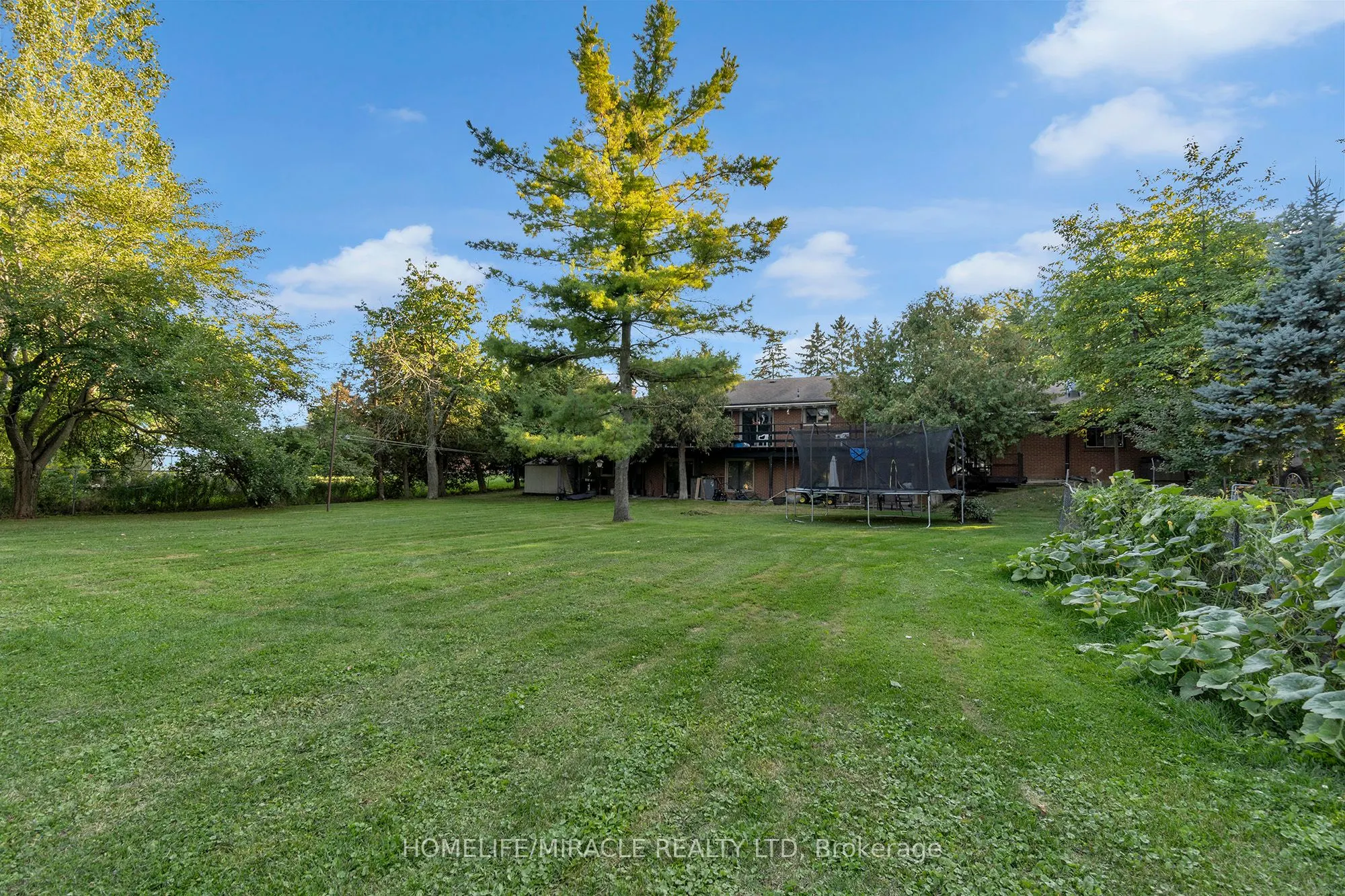 14309 BramaleaRd Road
