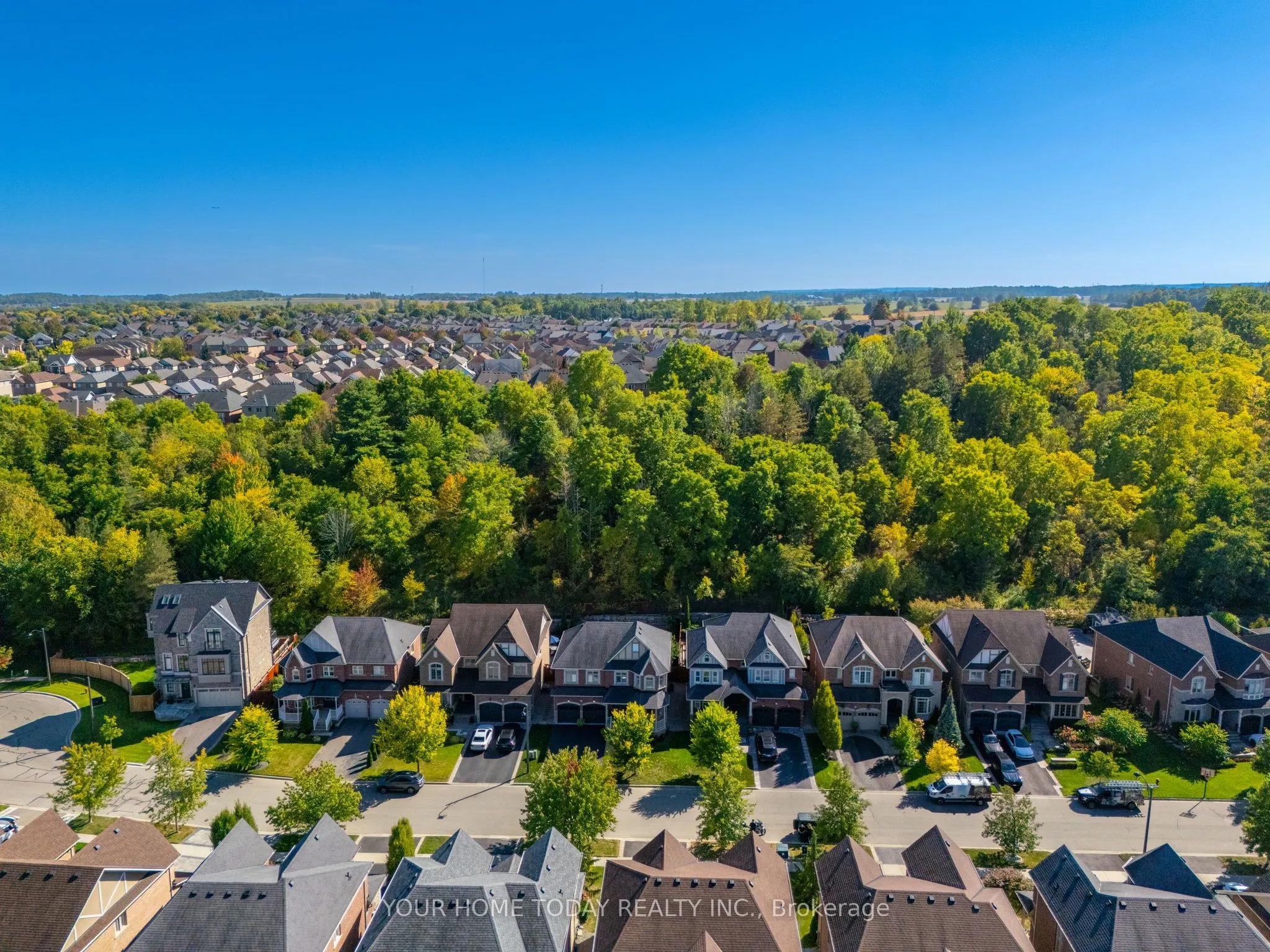 94 Foxtail Court