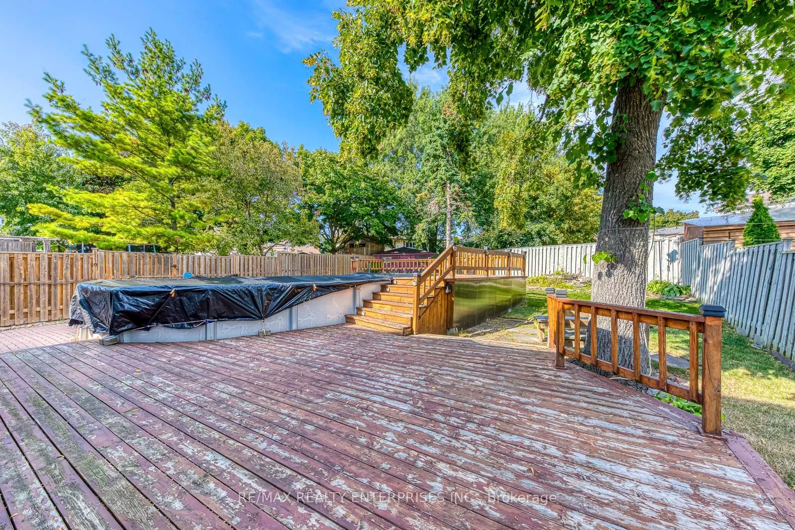 3631 Shadbush Court