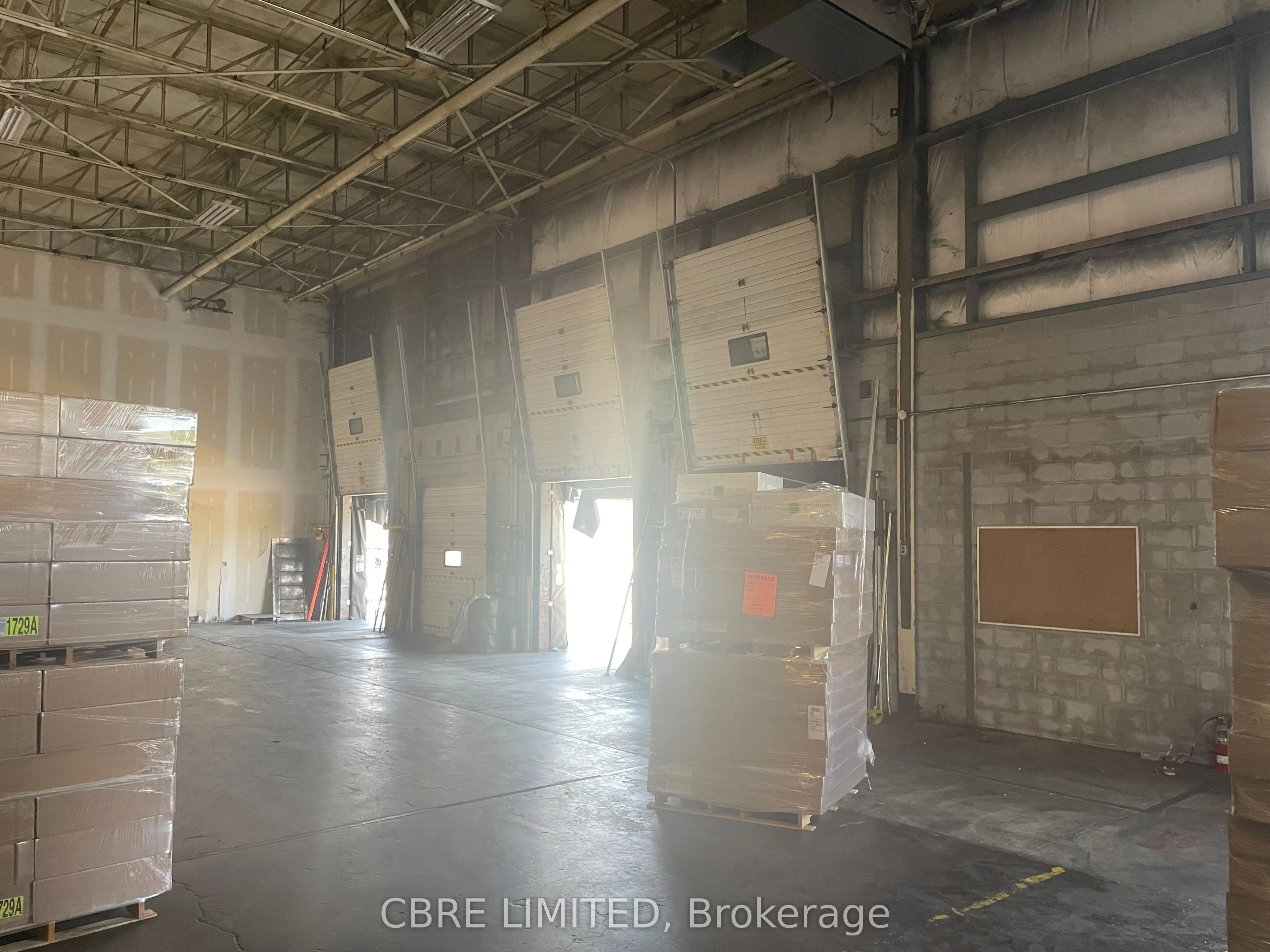 1121 Walkers Line, #3