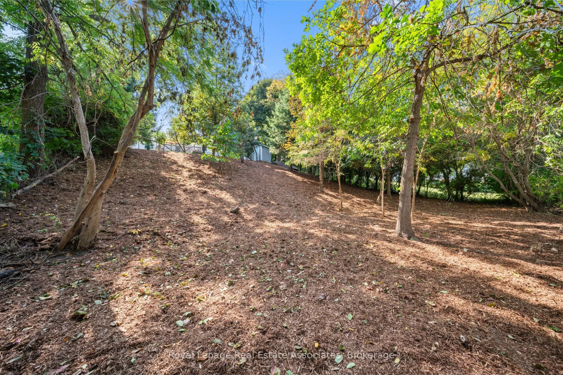 7 Joymar Drive