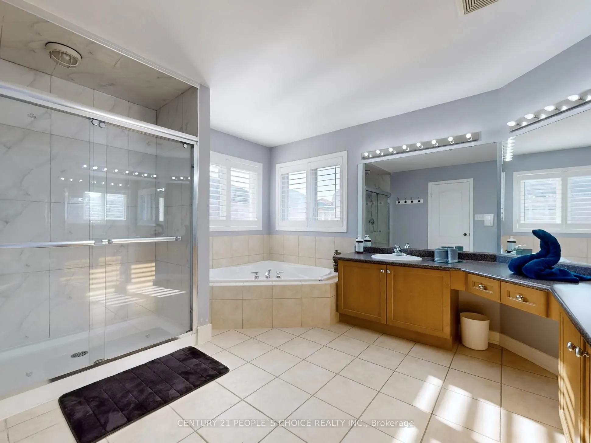230 Edenbrook Hill Drive