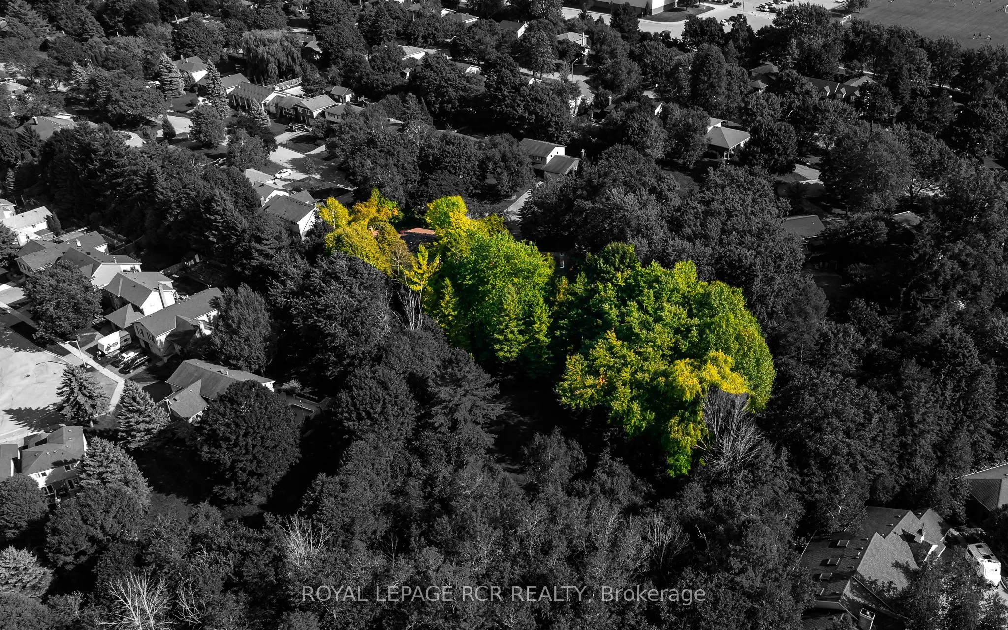 33 Forest Park Road