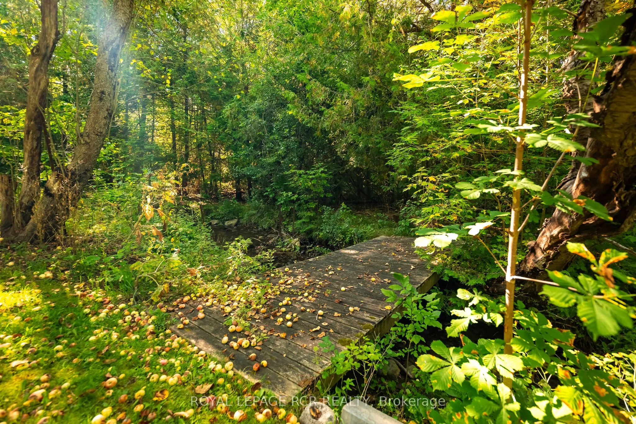 33 Forest Park Road