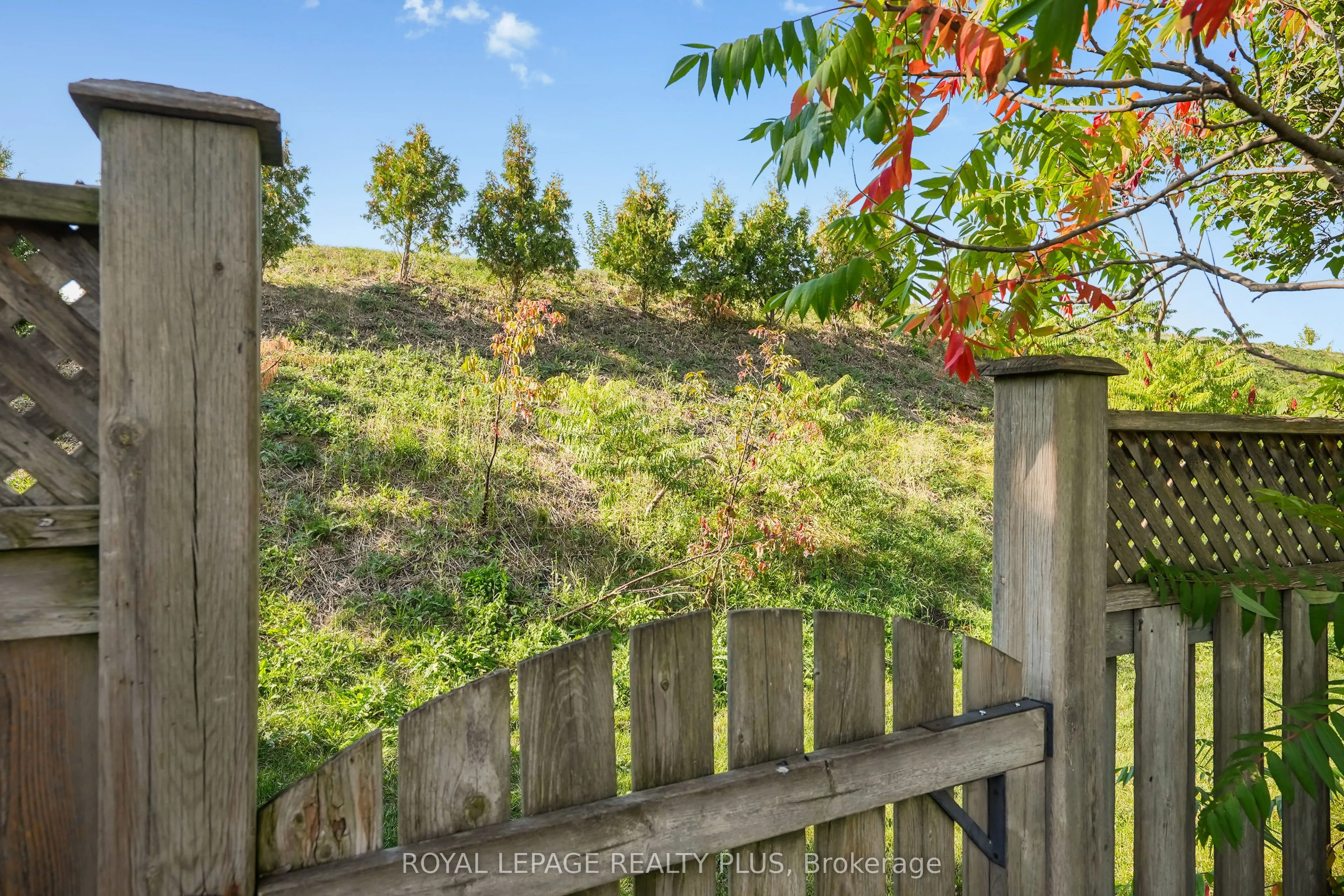 2335 Wyandotte Drive