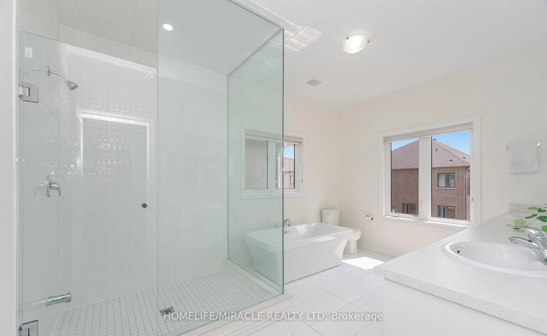 7 Aldenham Street, #Basement