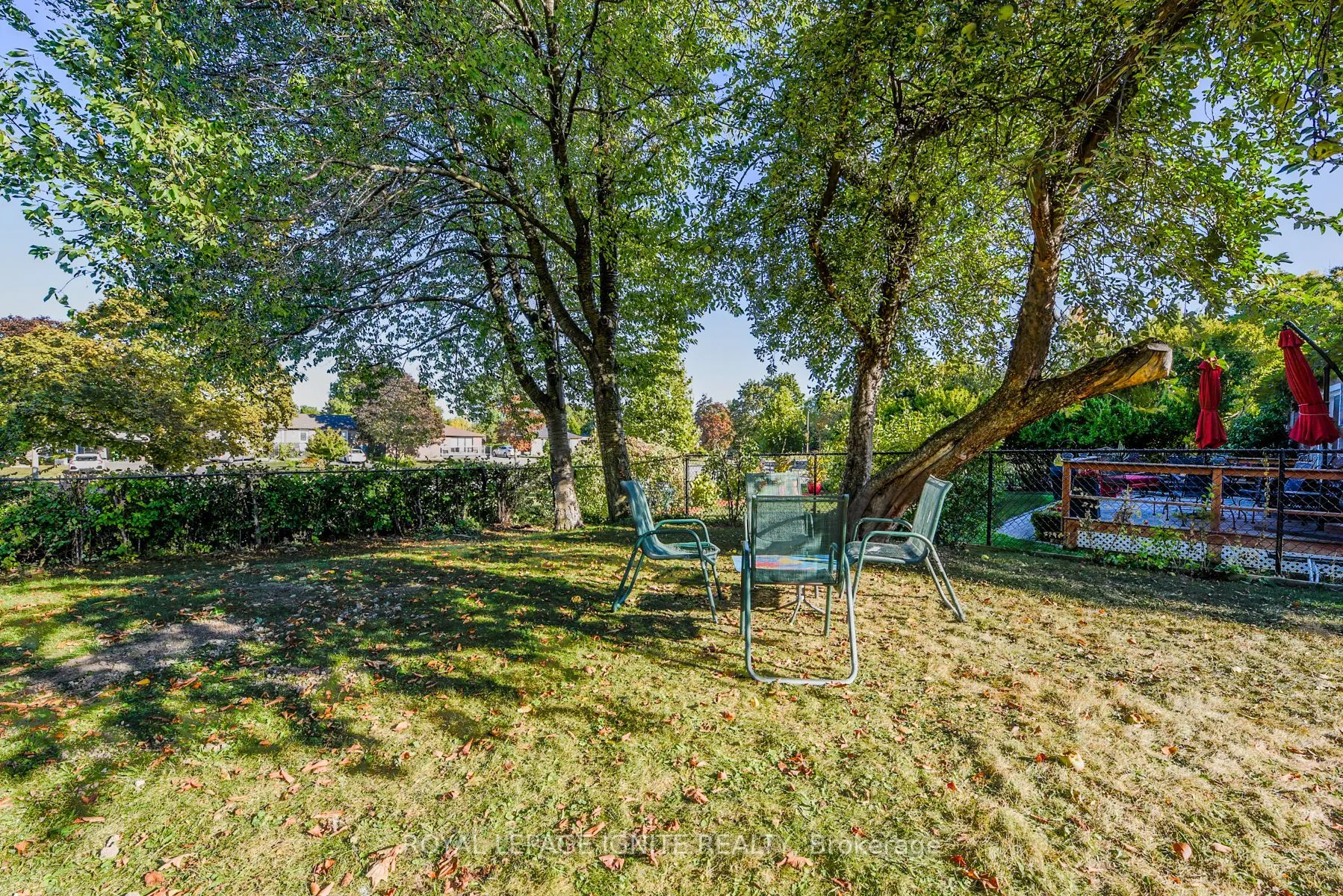 4 Drayton Crescent