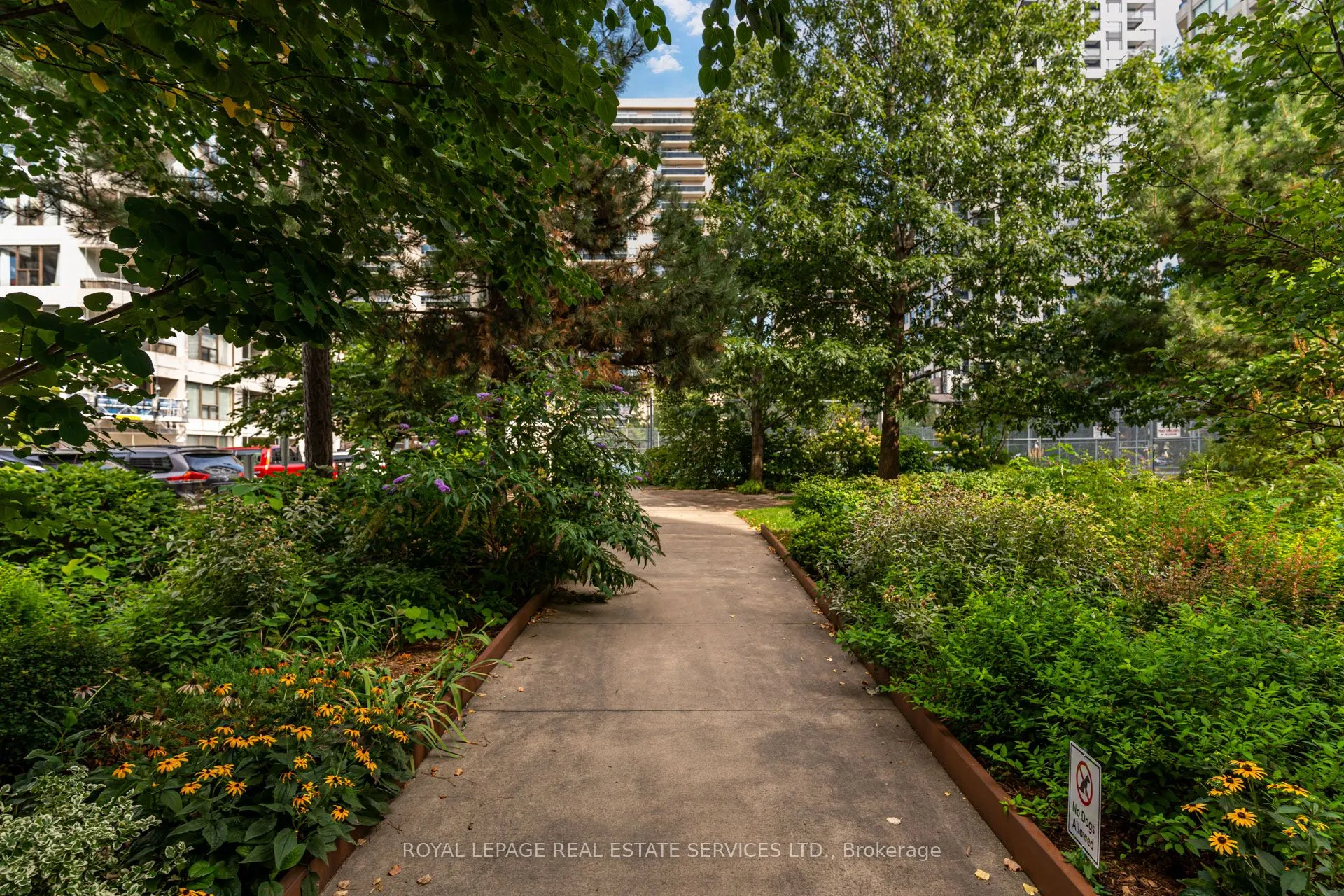 80 Quebec Avenue, #704