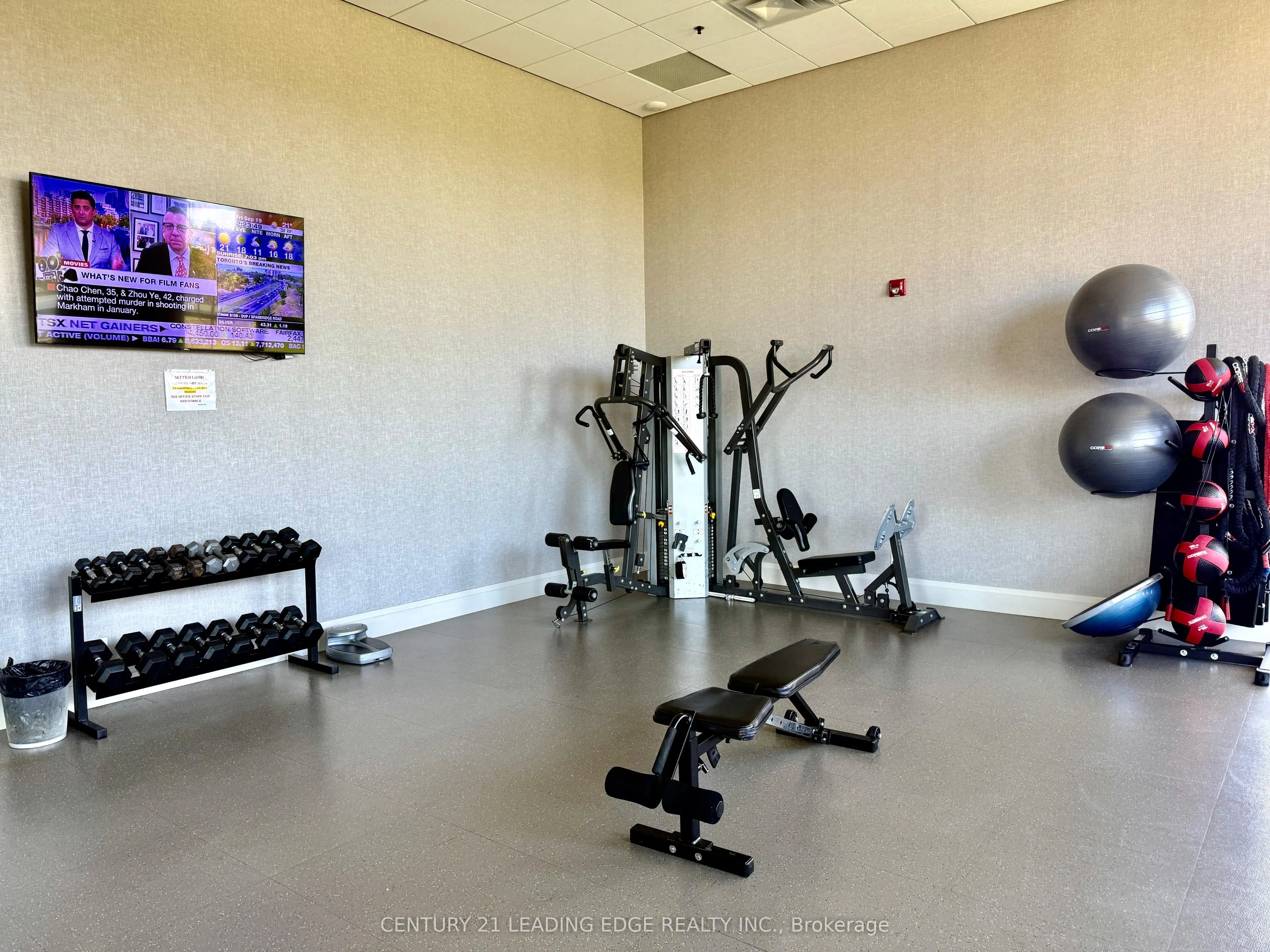35 Lobelia Street, #4