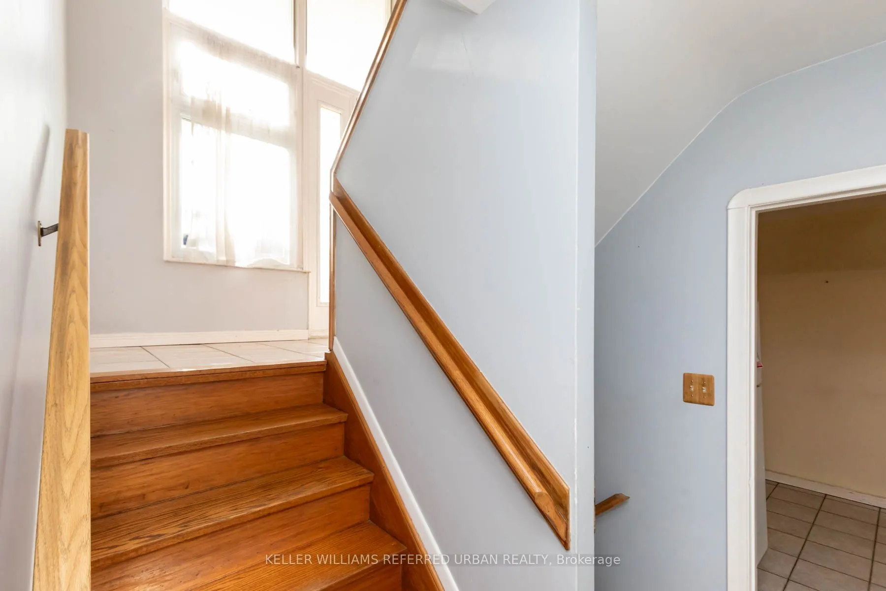 20 Gracefield Avenue