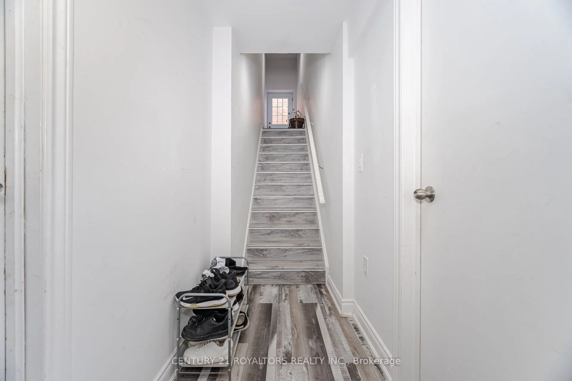 66 Kalmia Road