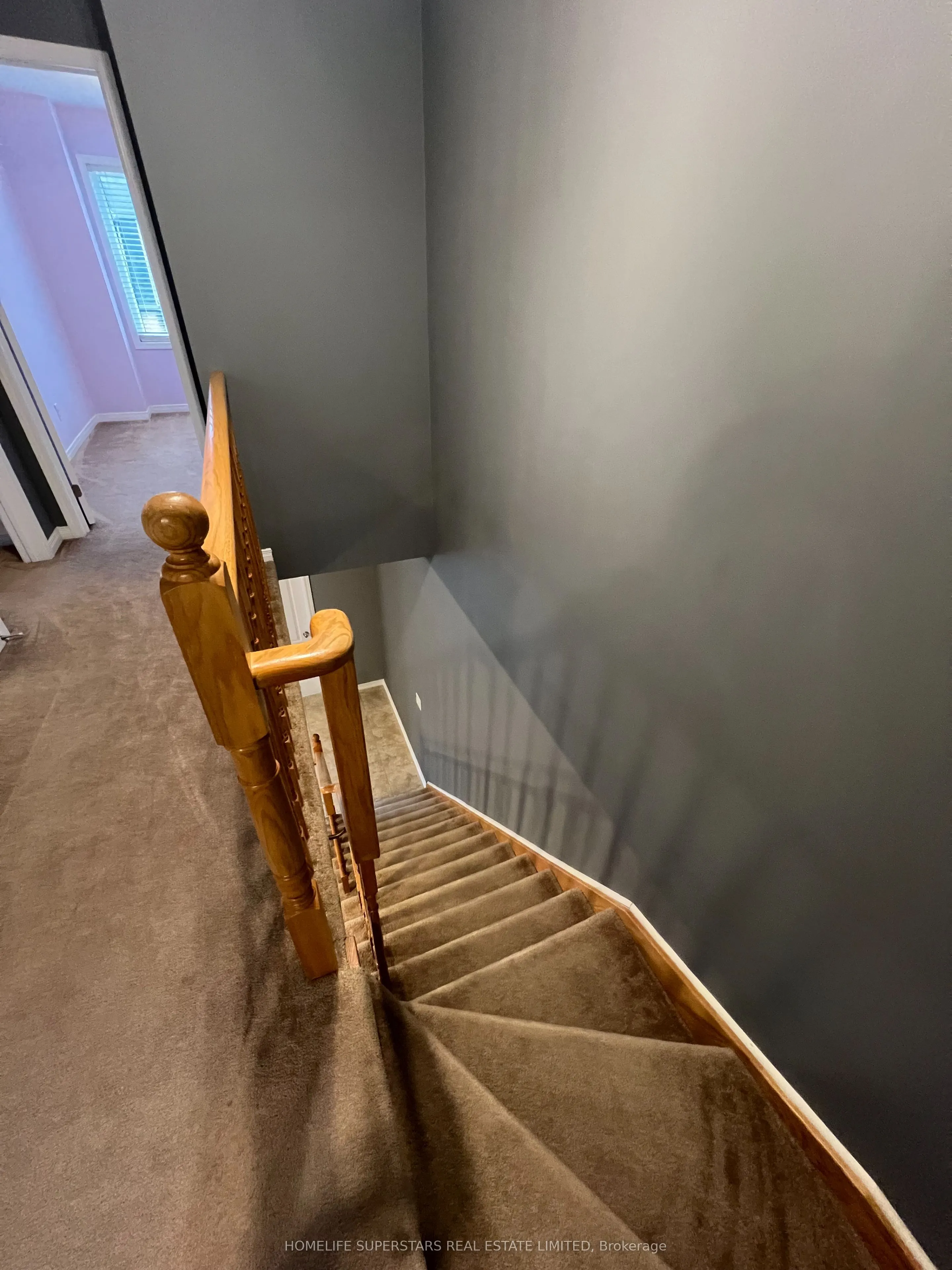 7 Bergamont Road, #7