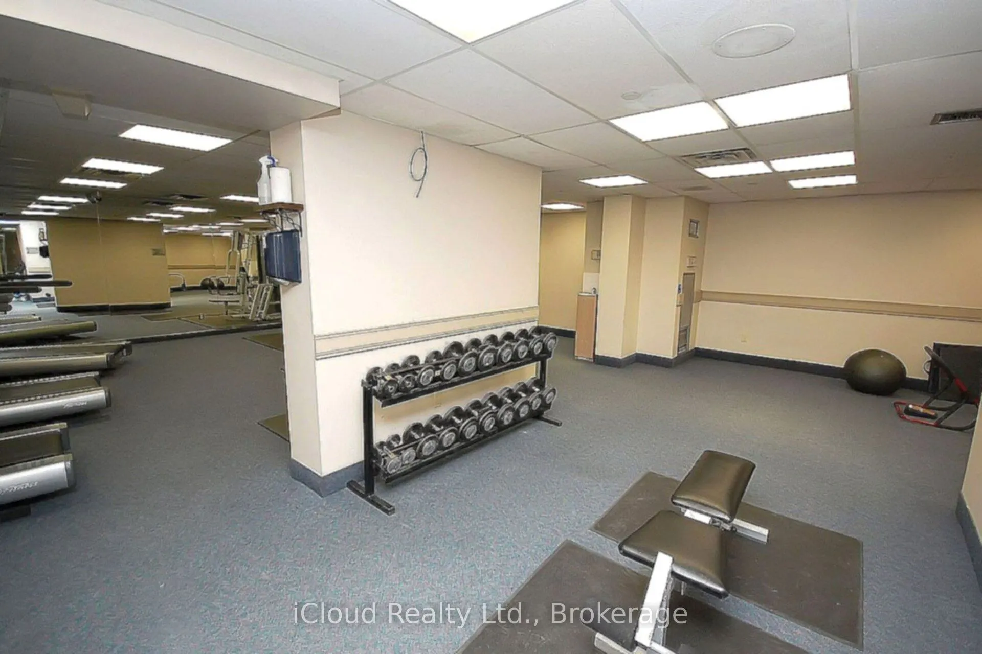 325 Webb Drive, #1907