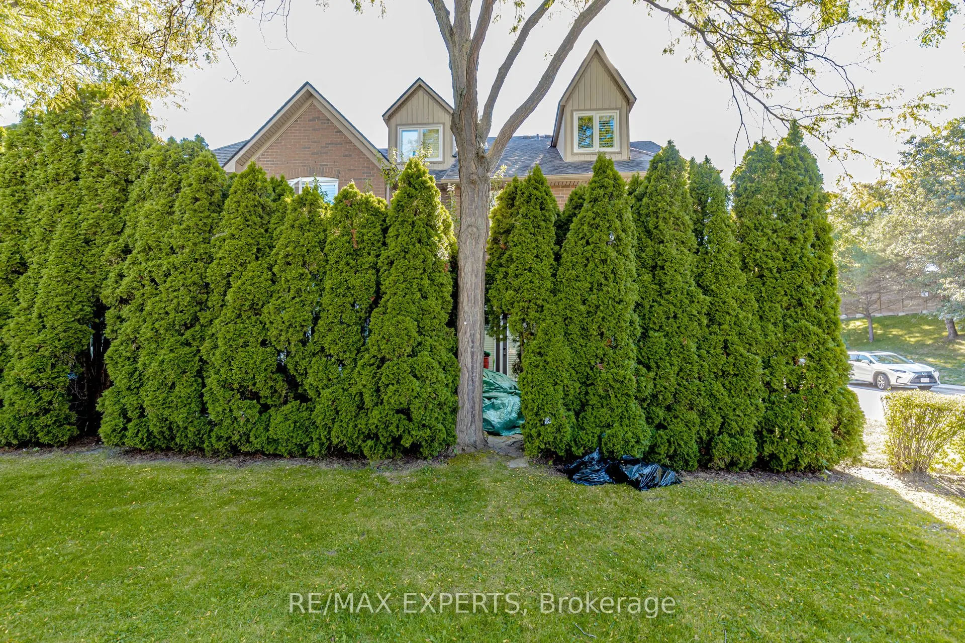 1084 Queen Street W, #17B