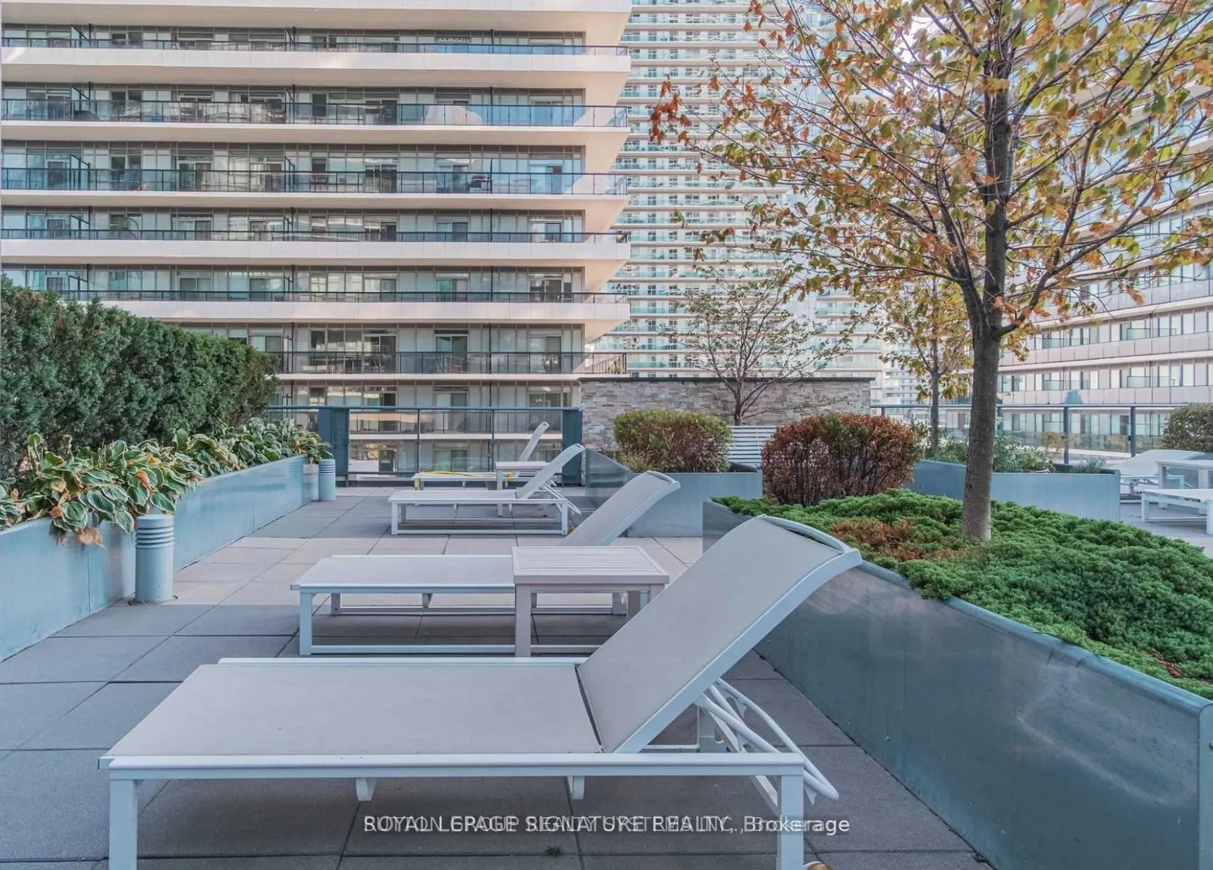 59 Annie Craig Drive, #704