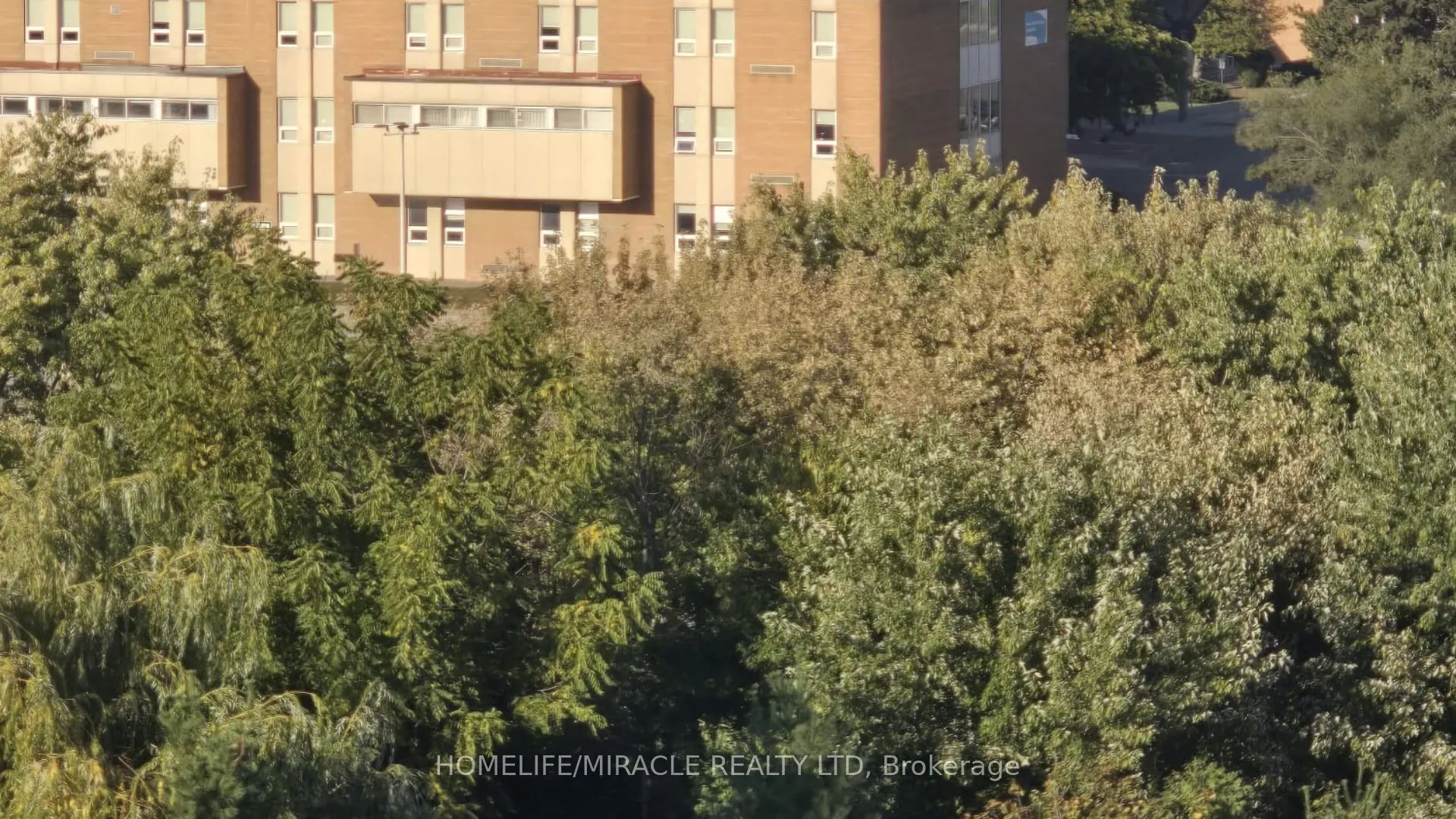 7405 Goreway Drive, #715