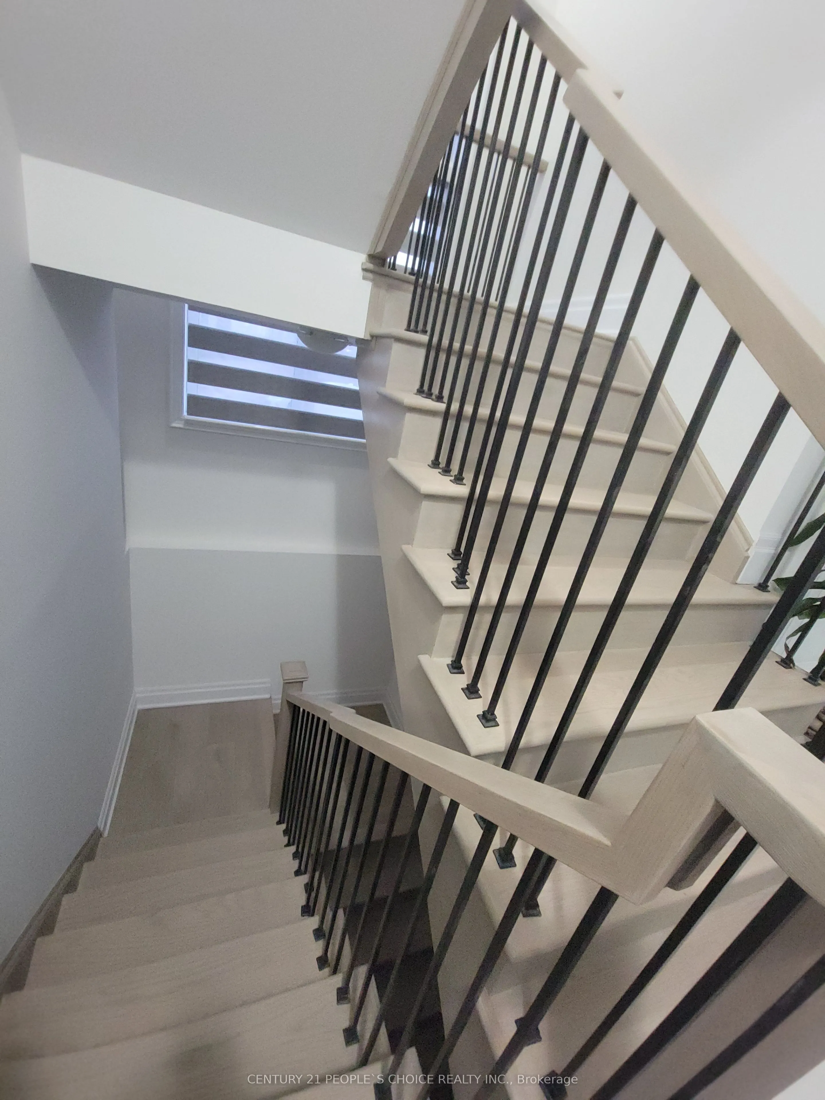 3253 Dove Drive