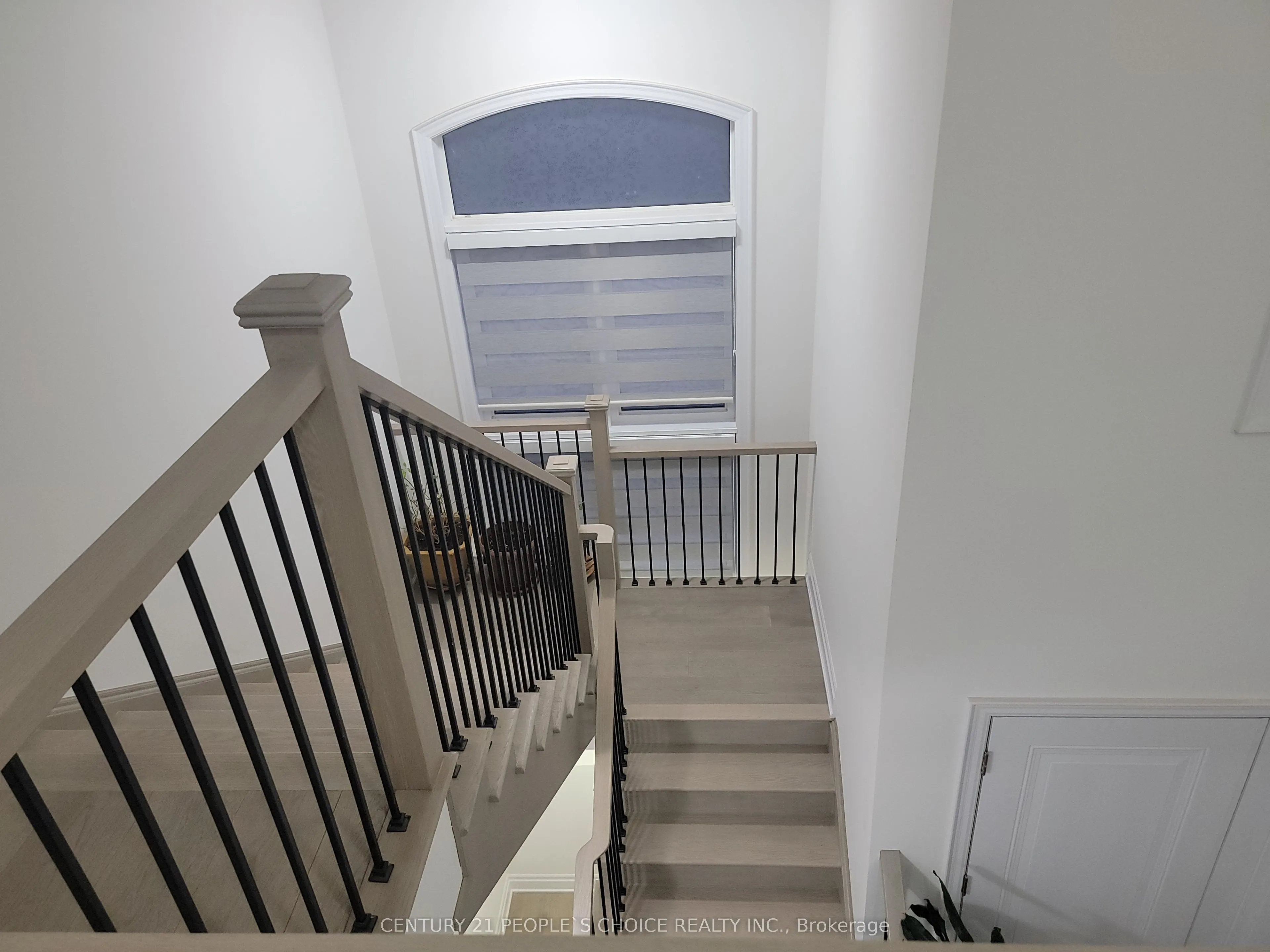 3253 Dove Drive