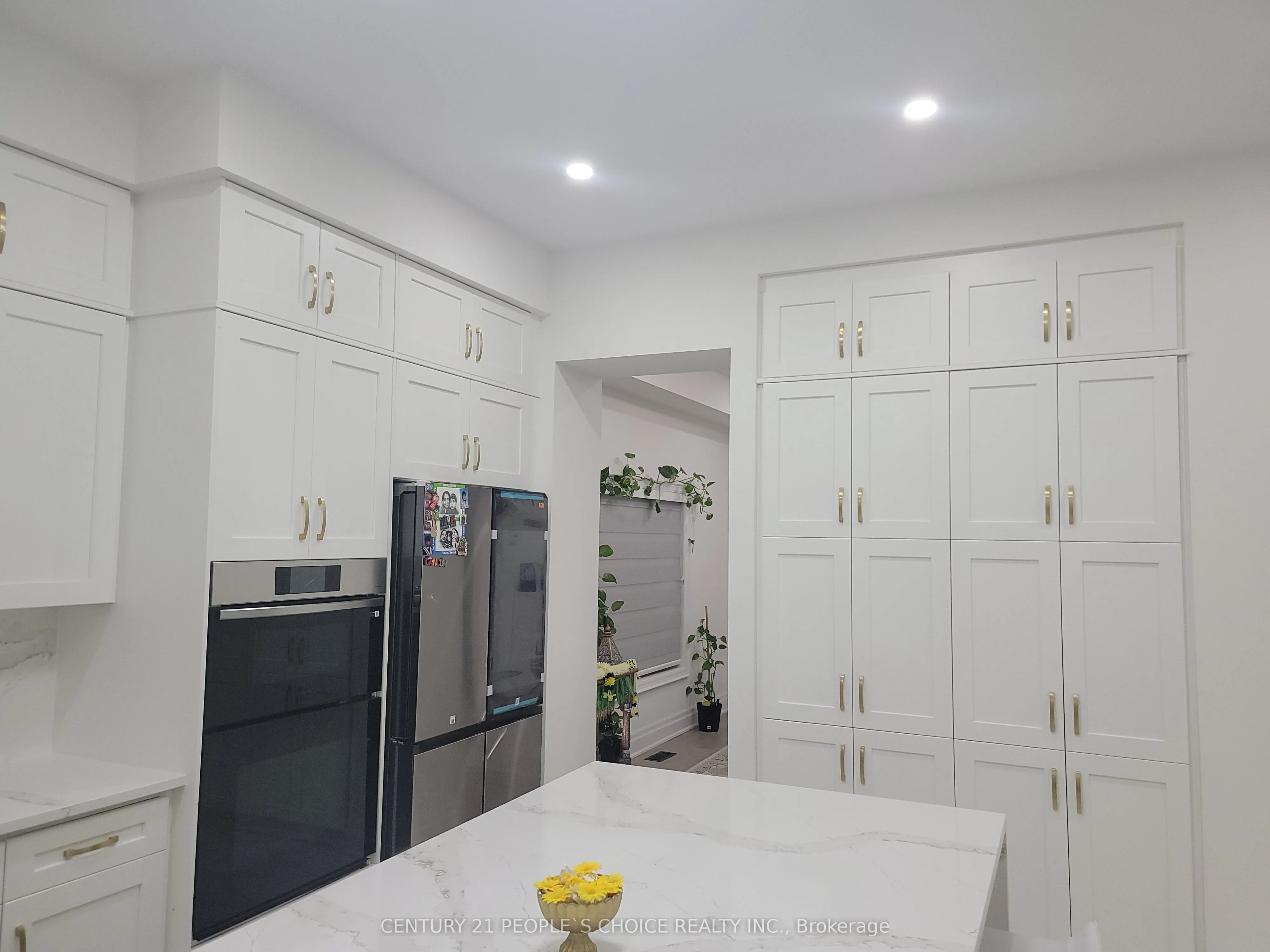 3253 Dove Drive