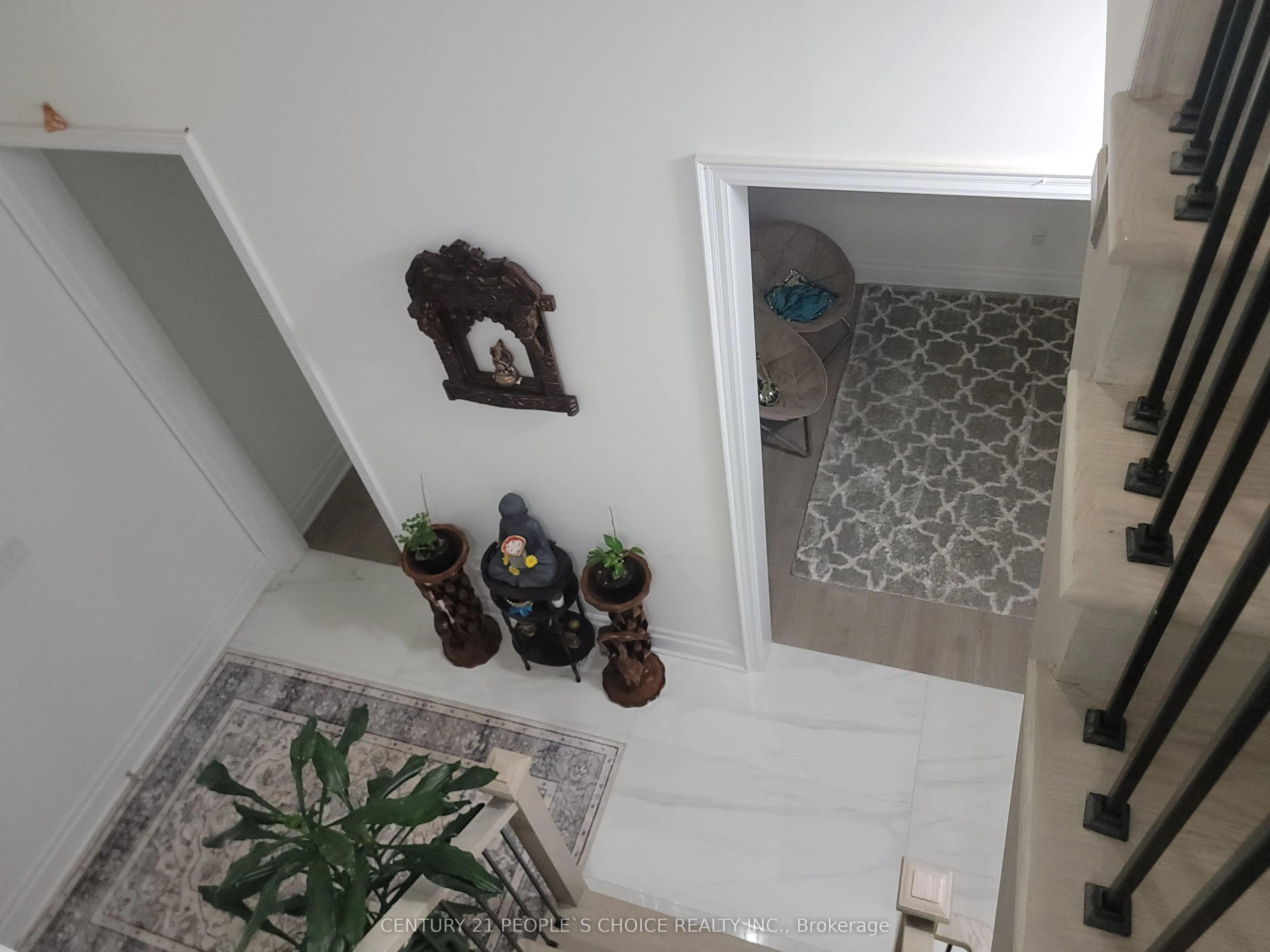 3253 Dove Drive