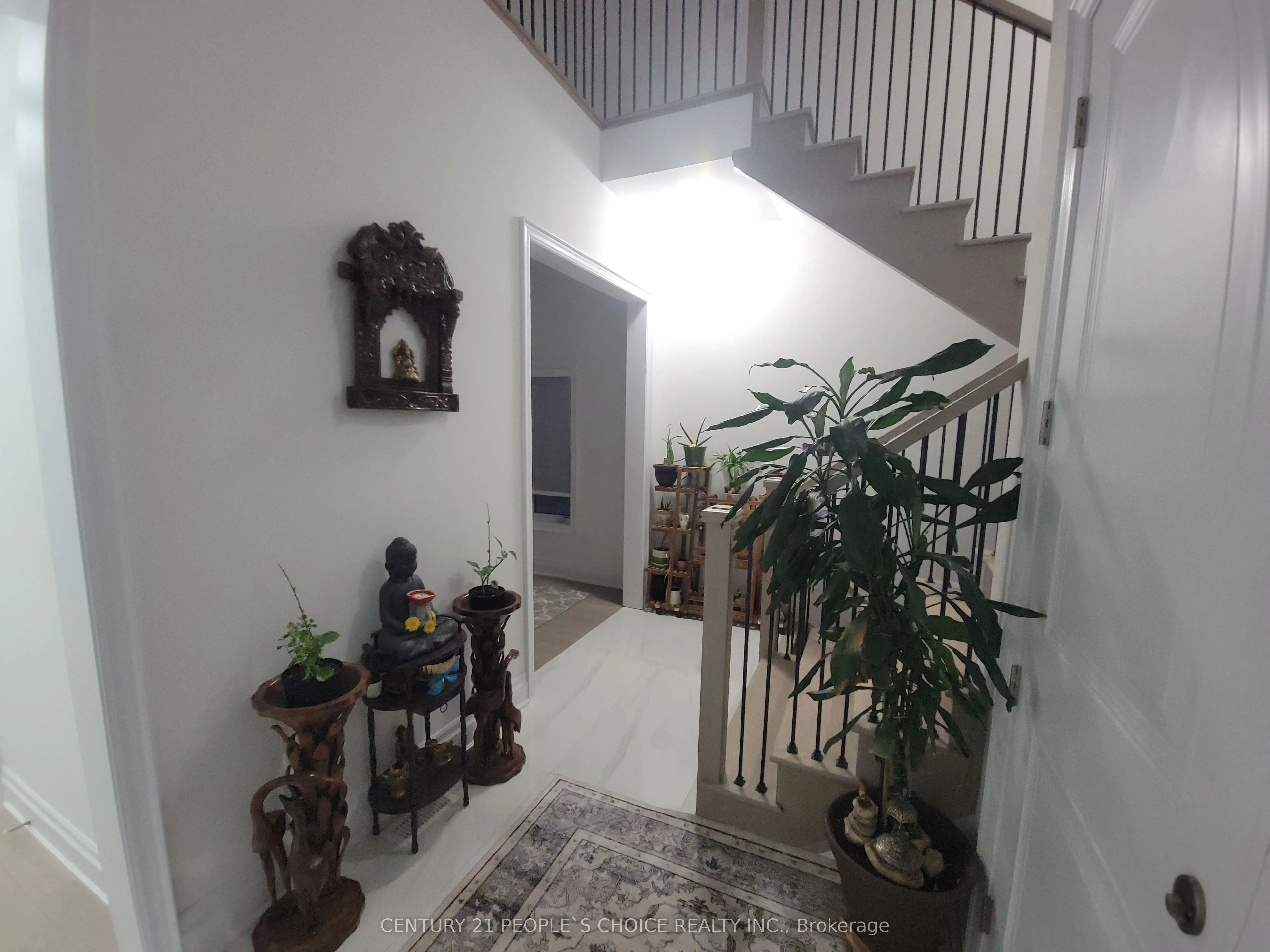 3253 Dove Drive