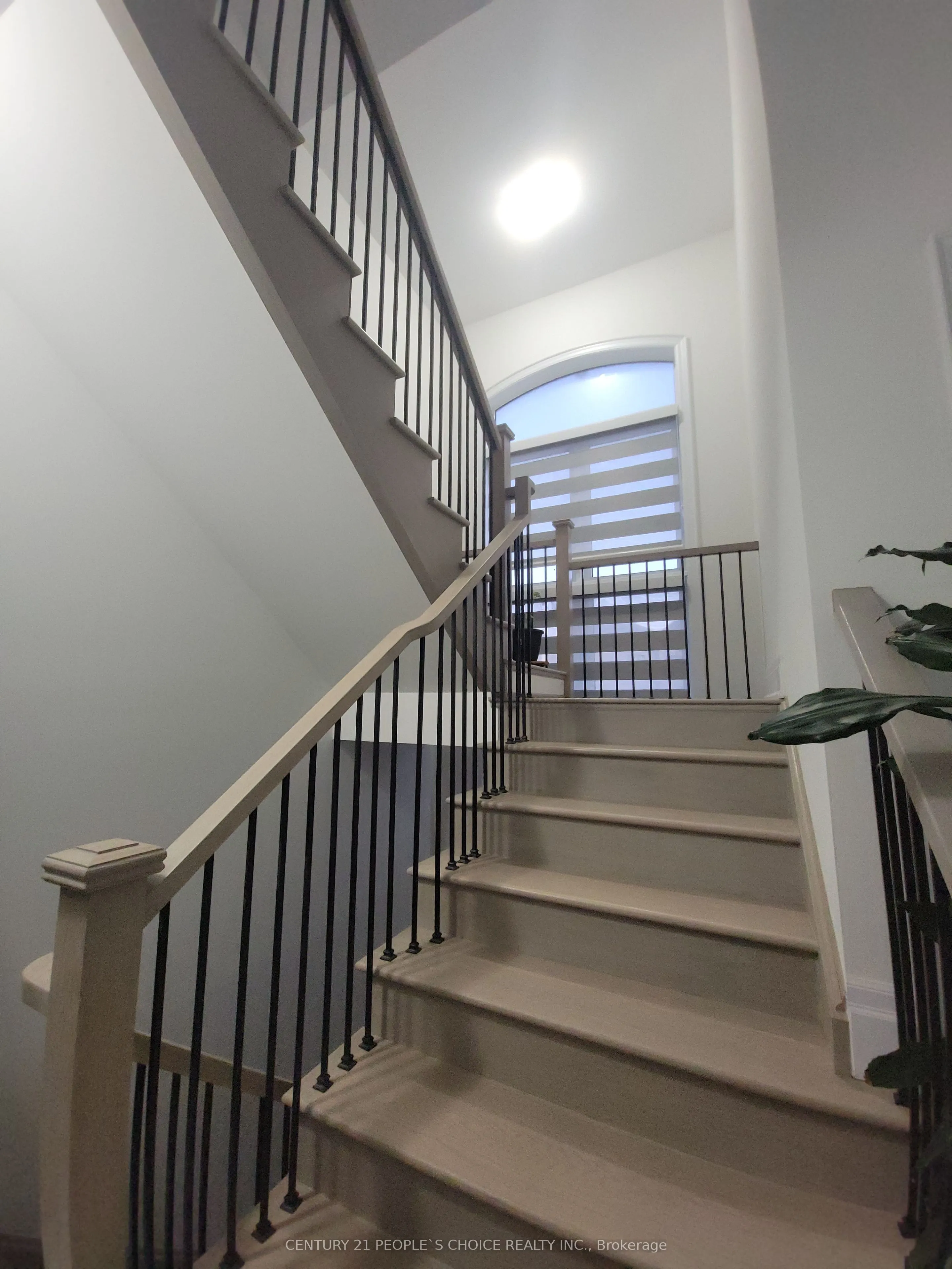 3253 Dove Drive