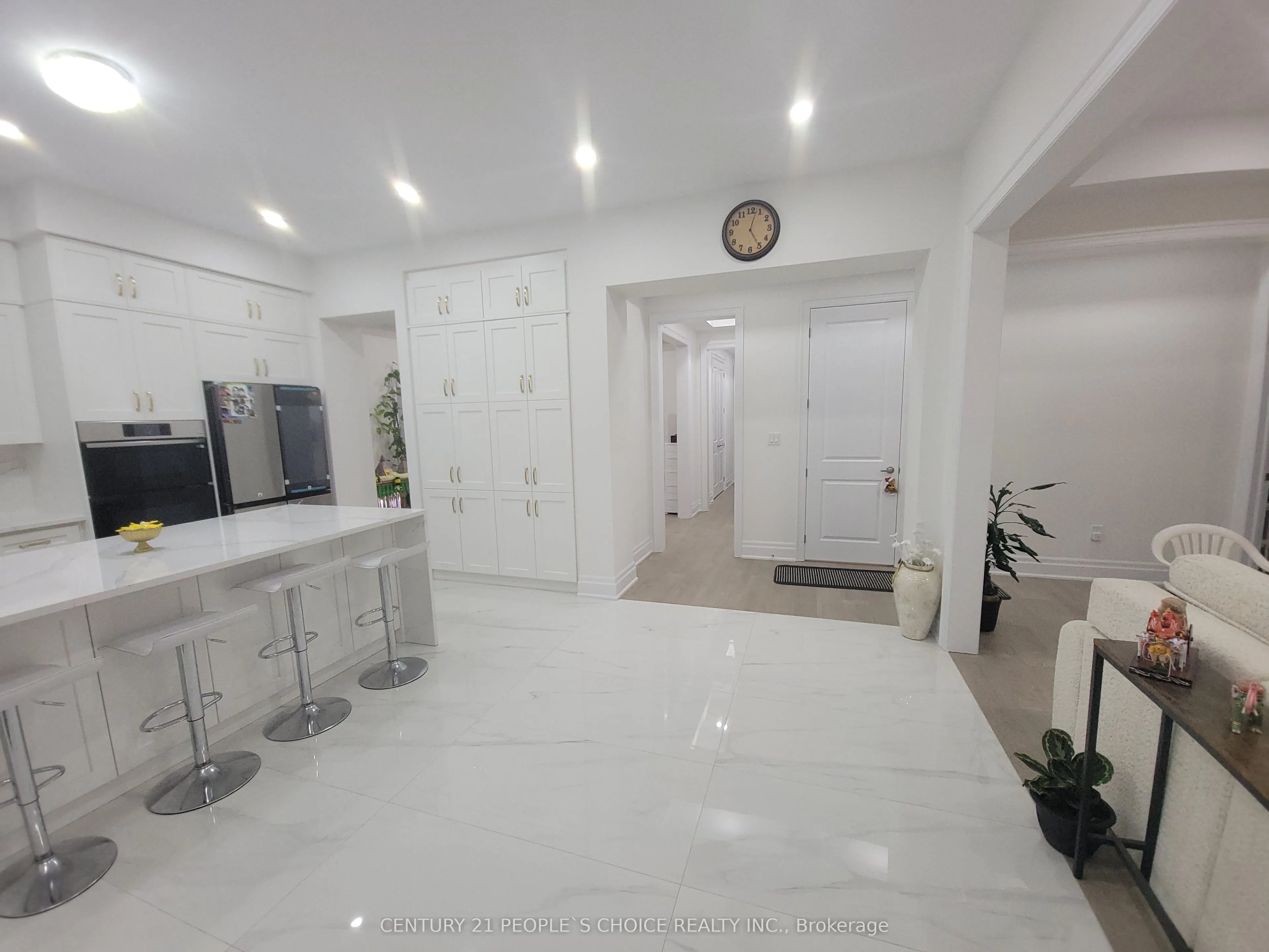 3253 Dove Drive