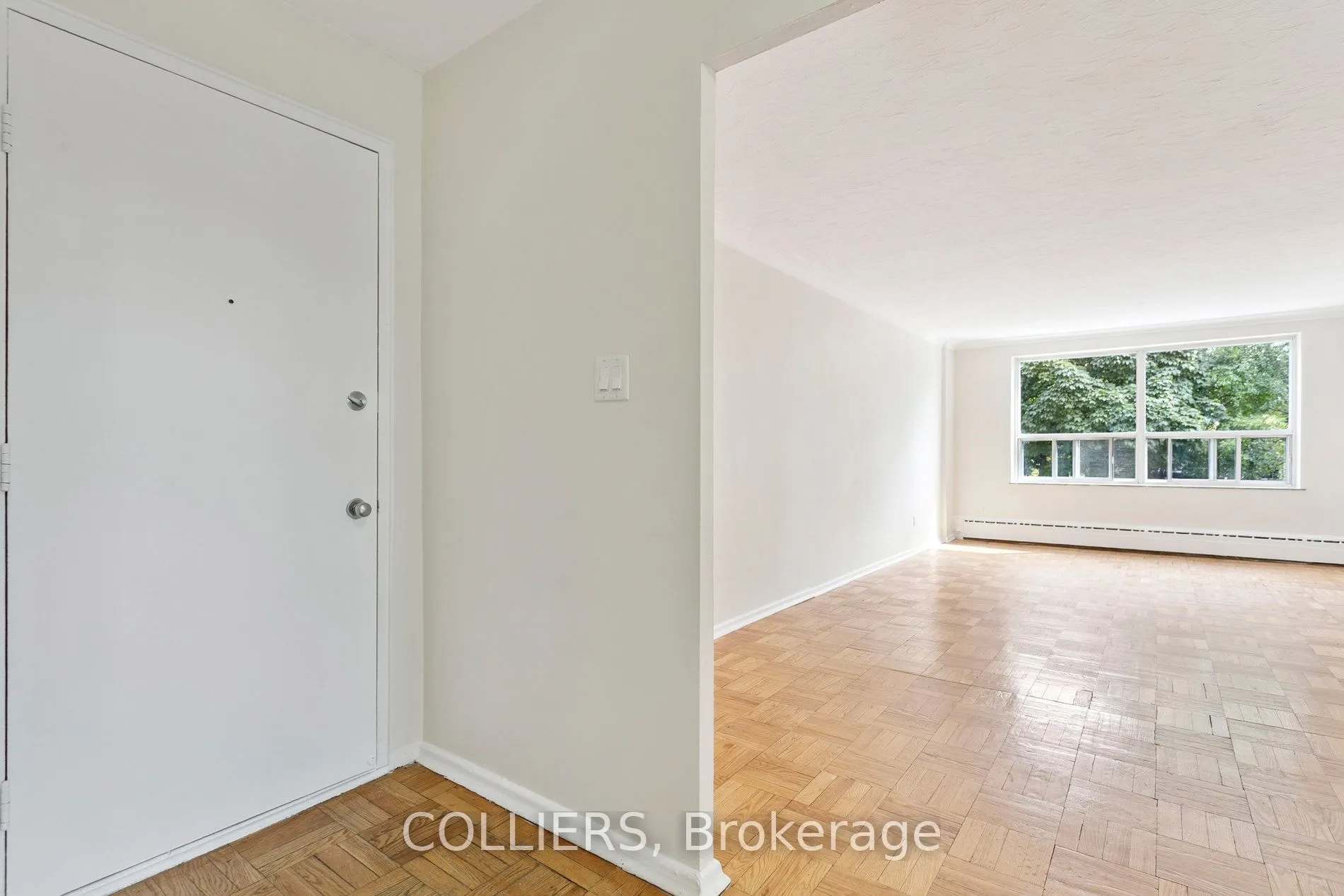 56 South Forster Park Drive