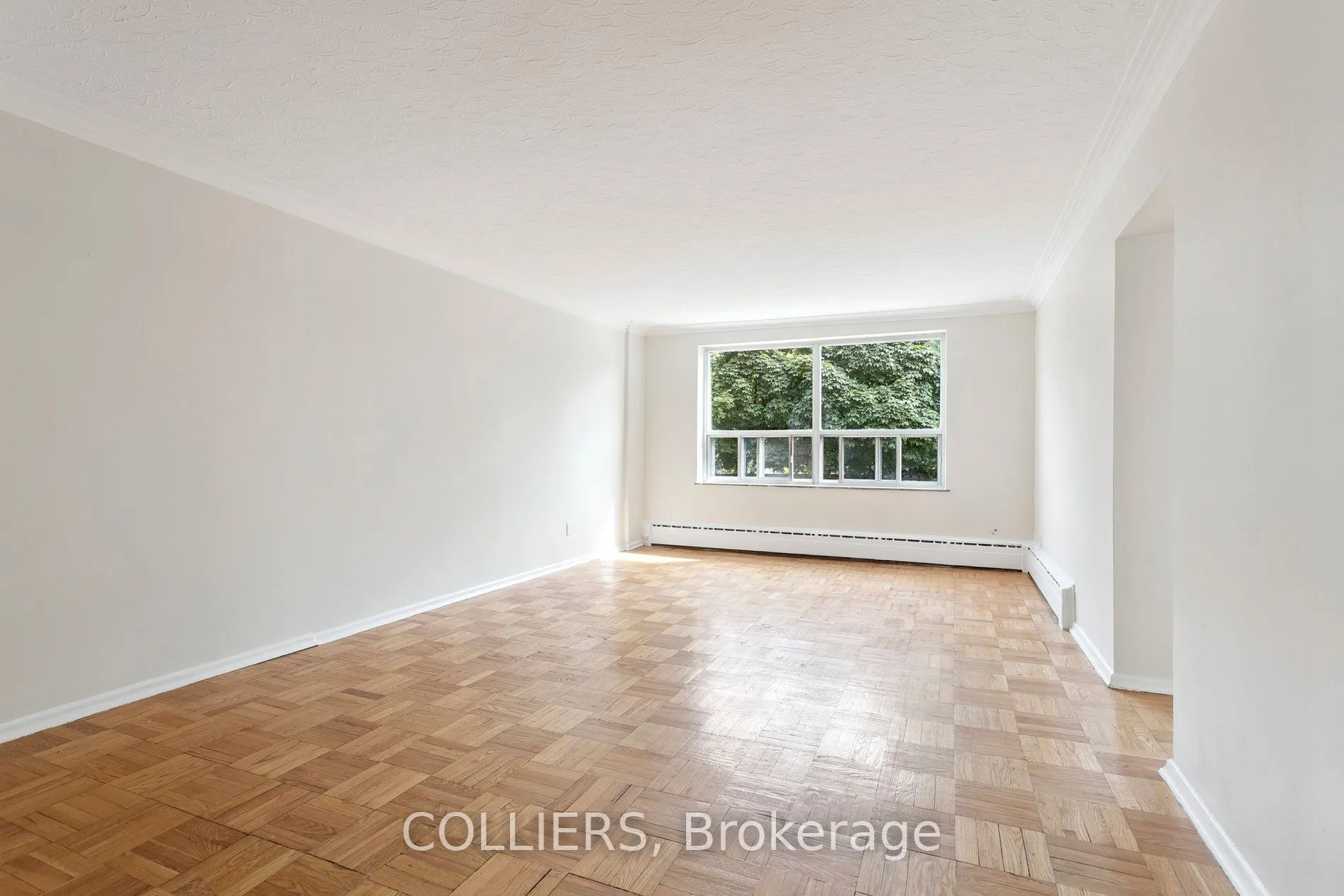 56 South Forster Park Drive