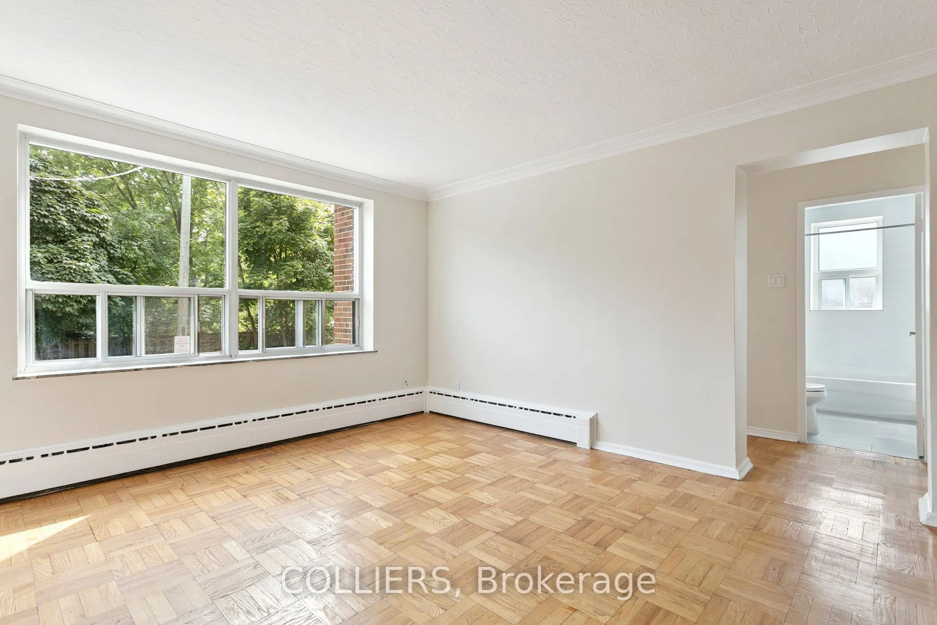 56 South Forster Park Drive